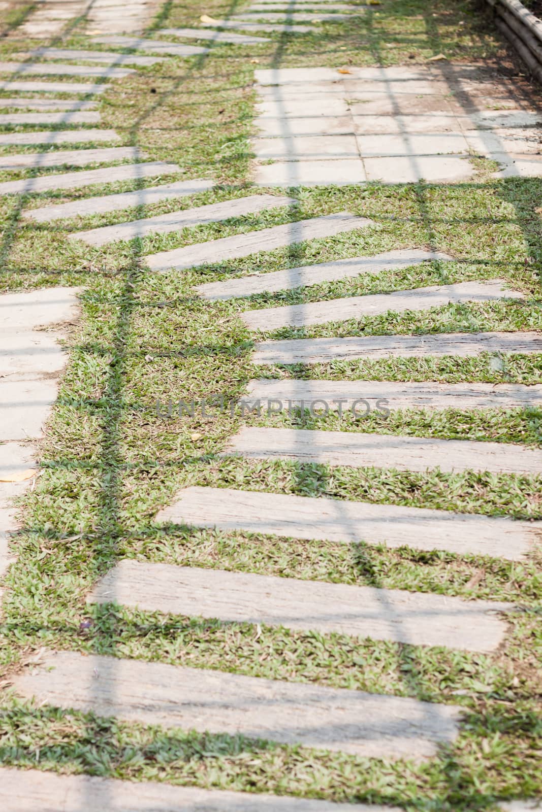 Garden stone path with grass by punsayaporn