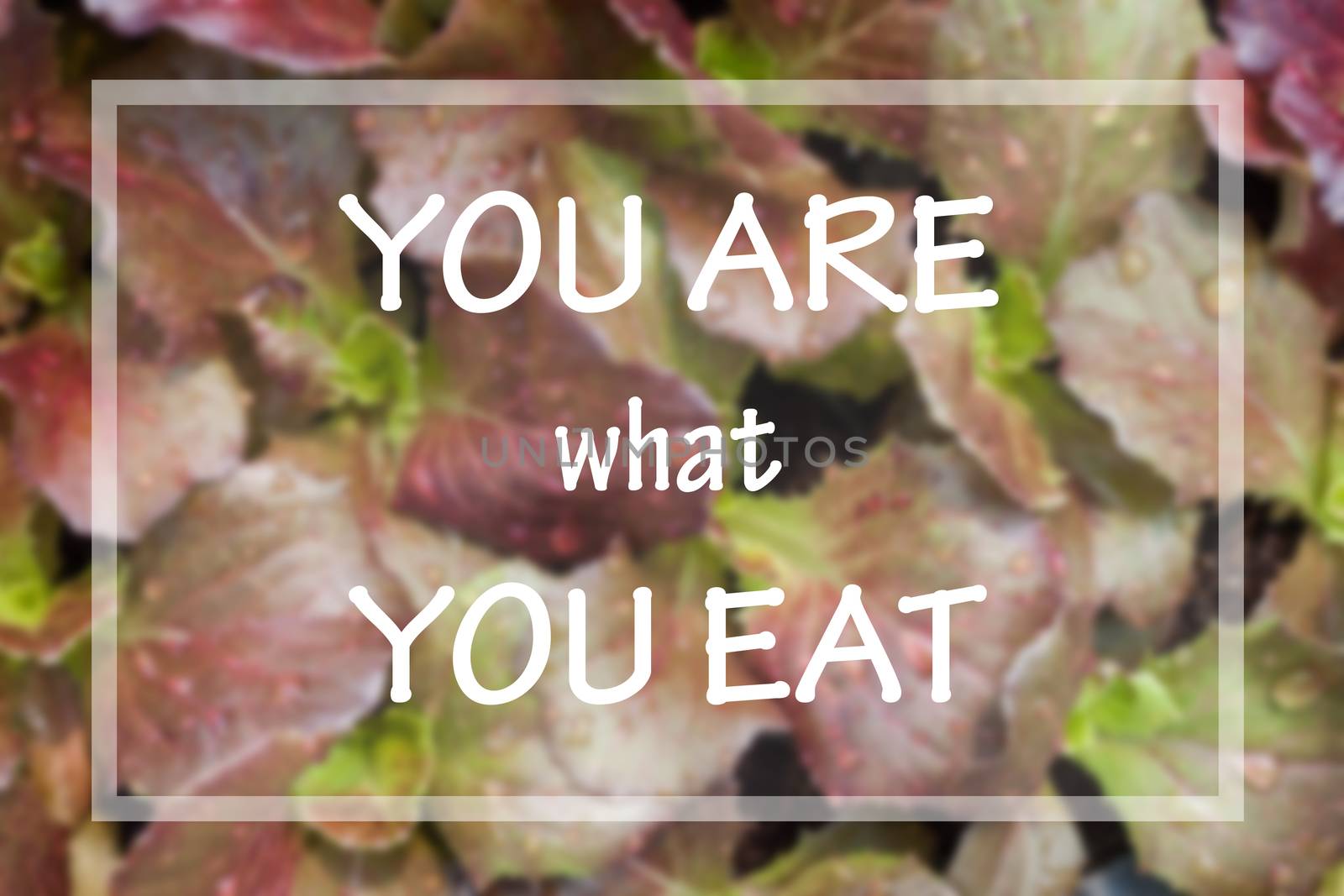 You are what you eat in spirational quote on vegetable background