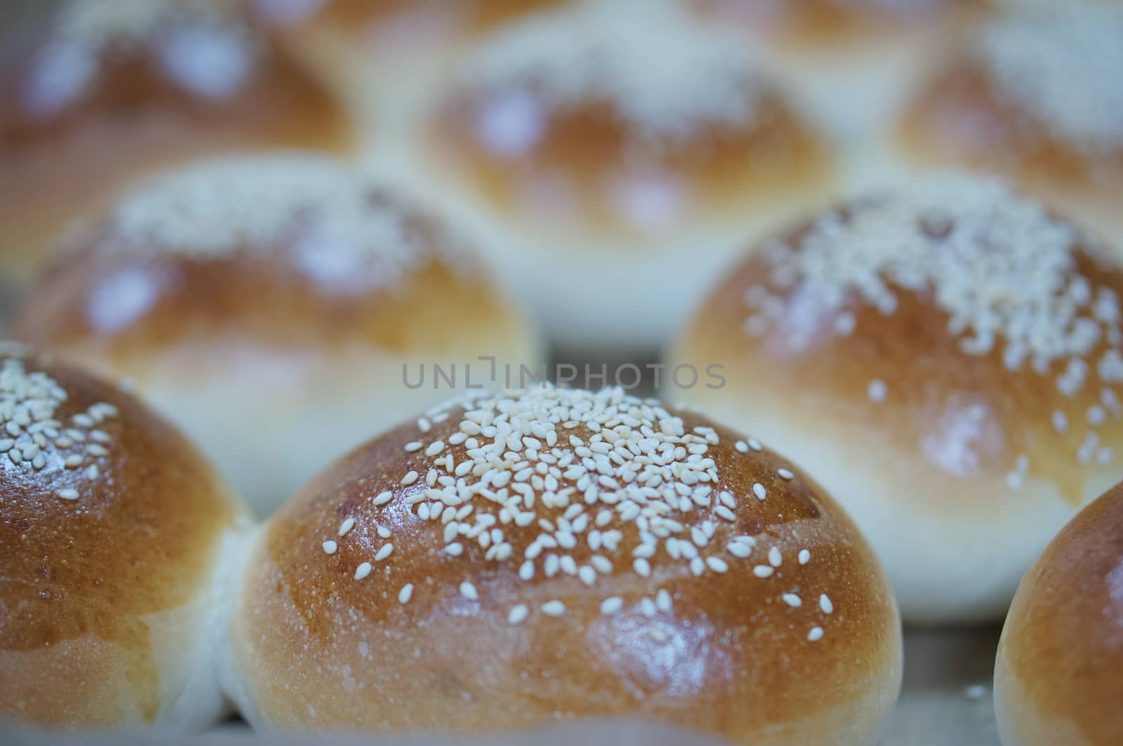 Round loaf of sandwich bun with sesame seeds on aluminium tray in kitchen.