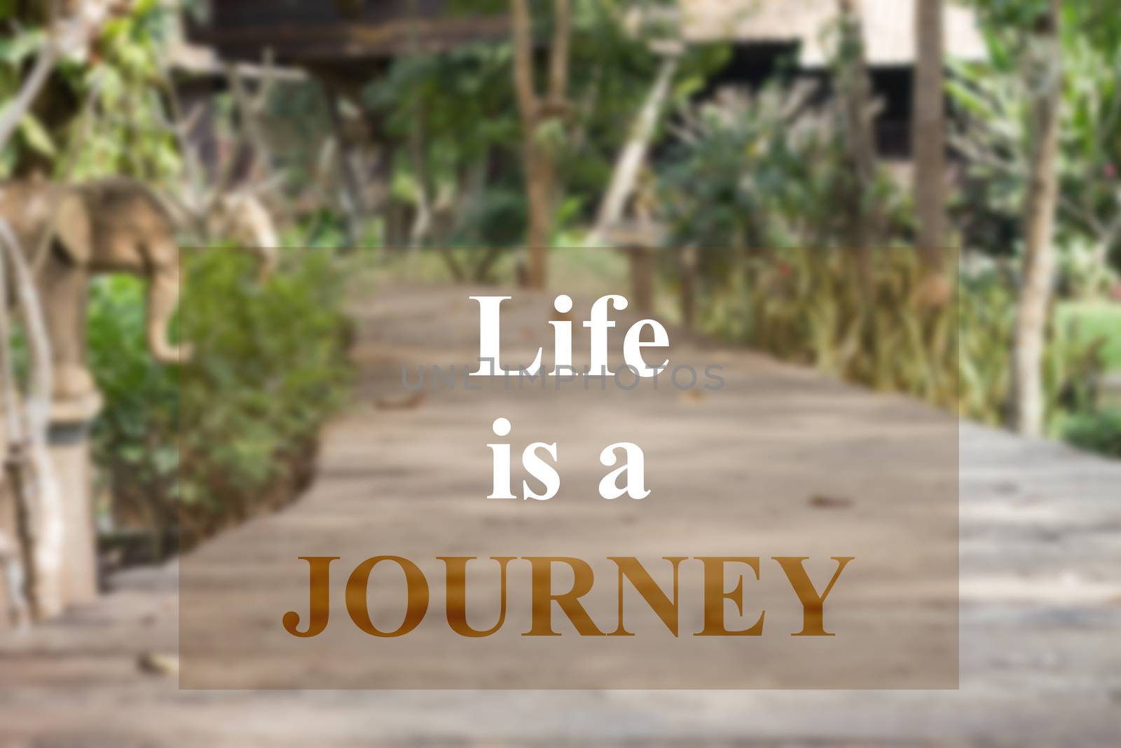 Life is a journey insparational quote on garden background