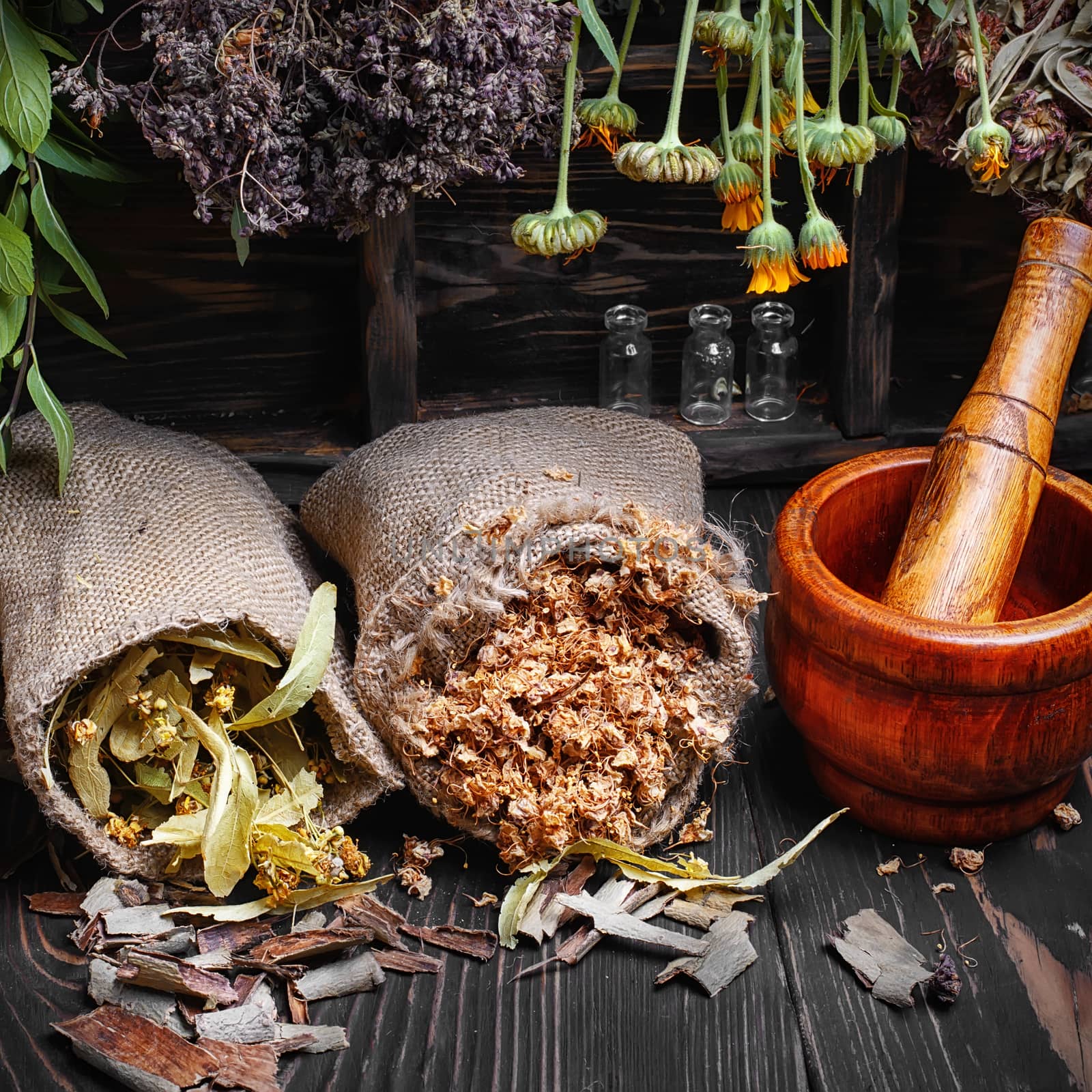 Dried medicinal herbs and plants in bags of burlap