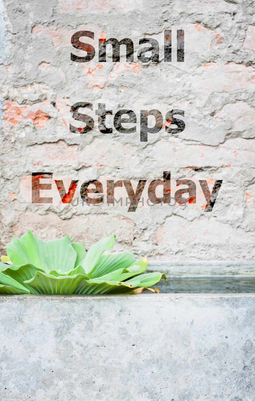 Small steps everyday inspirational quote, stock photo