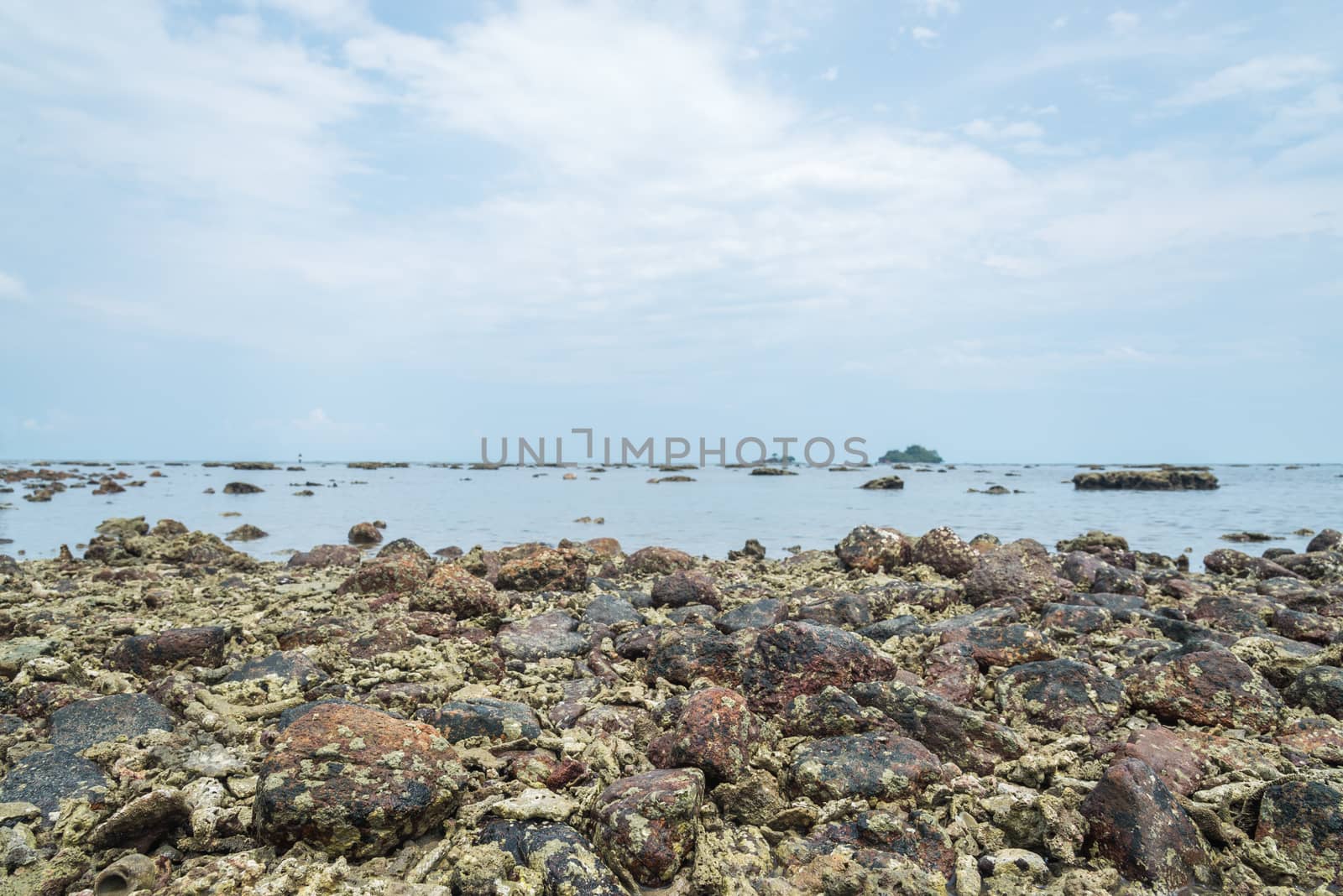 Coral Rubble formed from old dead corals that is washed up onto the beach.