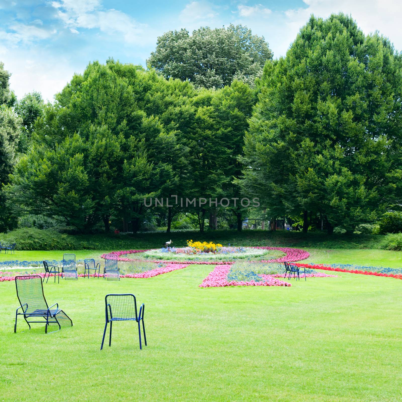 Lounge chairs for relaxing in the summer park