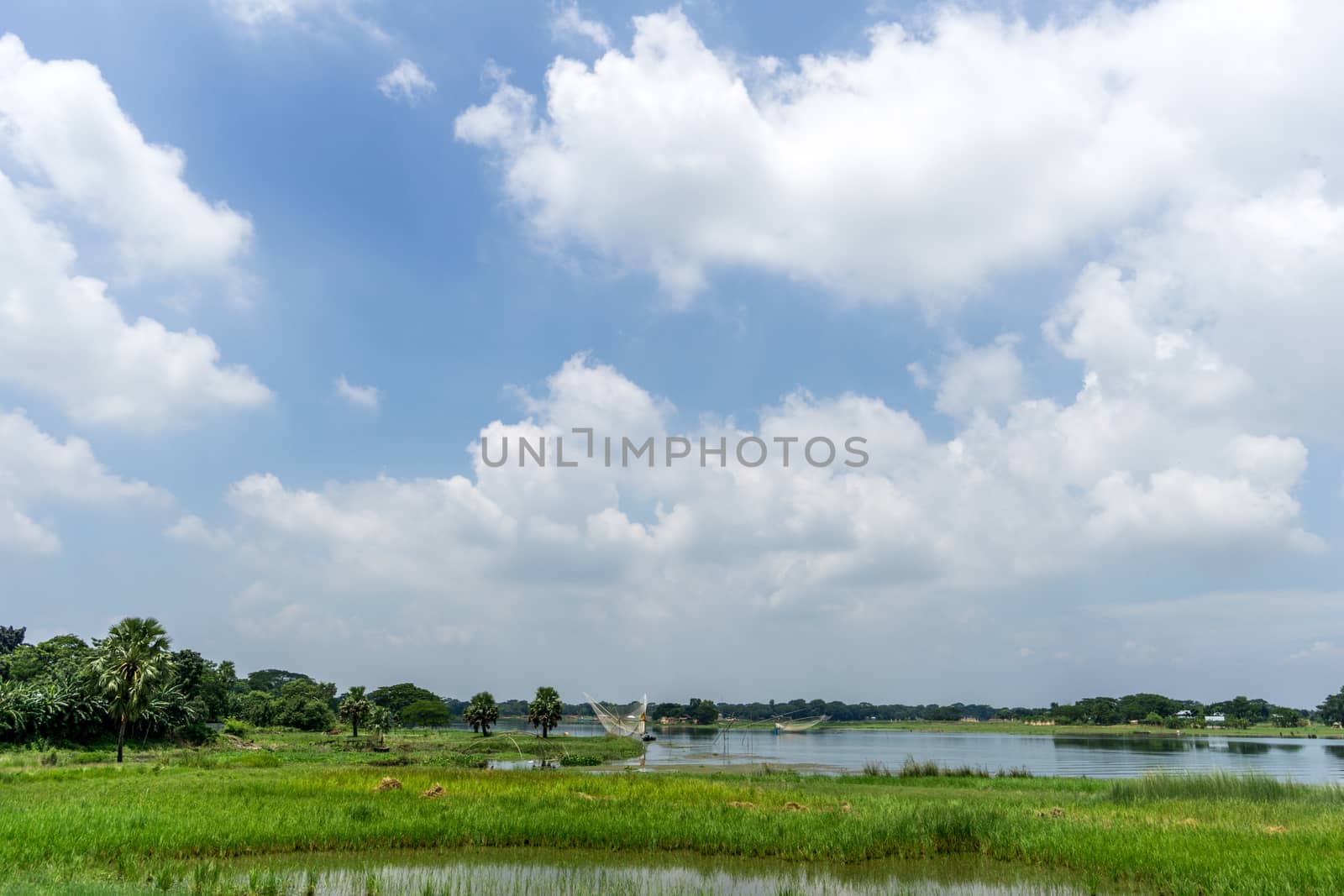 Green nature landscape in day time