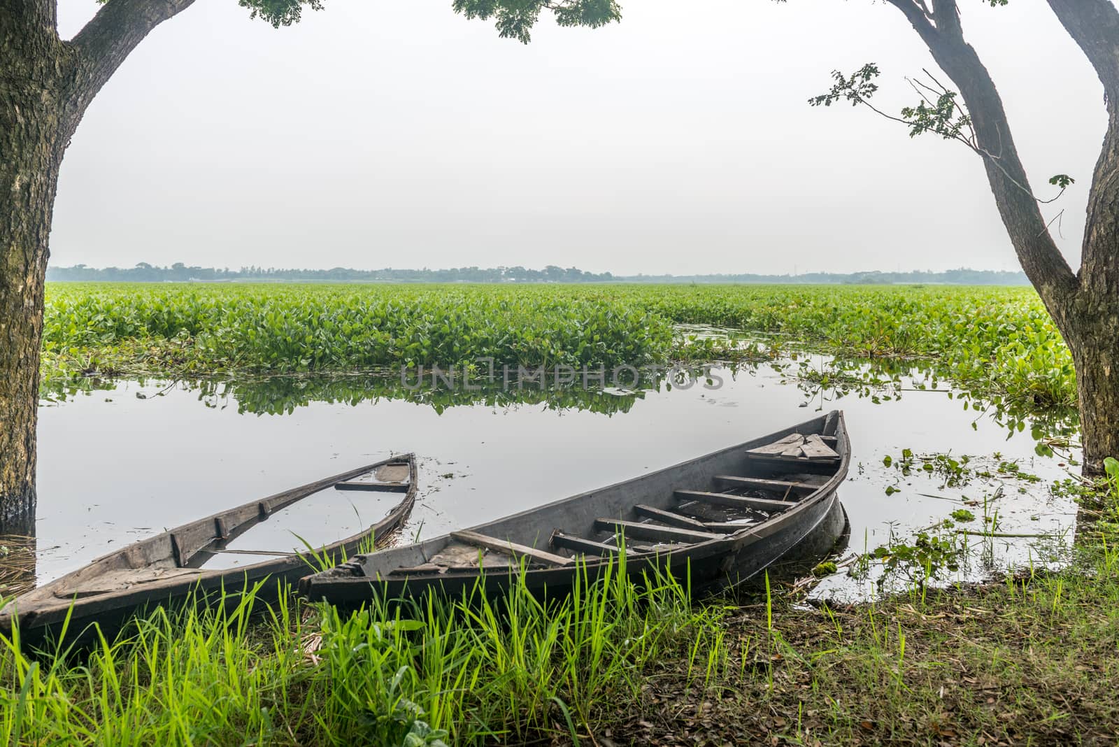 green field Field nature with boat by sohel.parvez@hotmail.com