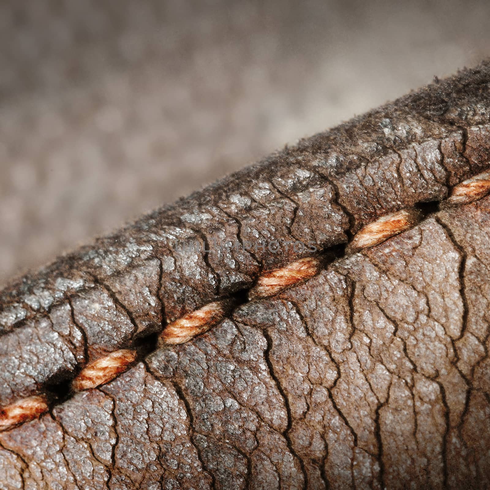 Close-up of old stiches in leather by michaklootwijk