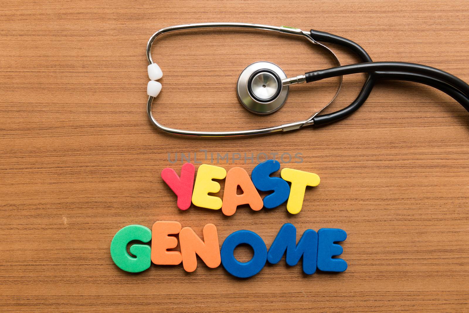 yeast genome colorful word with stethoscope on wooden background