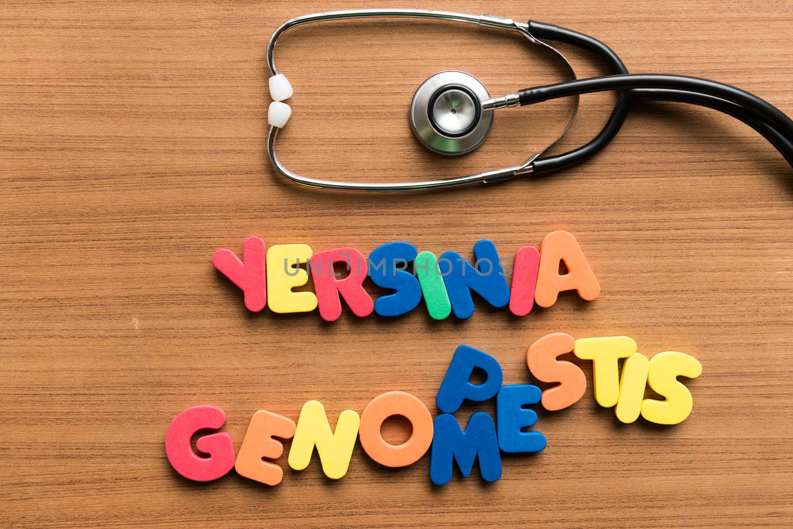 yersinia pestis genome colorful word with stethoscope on wooden background