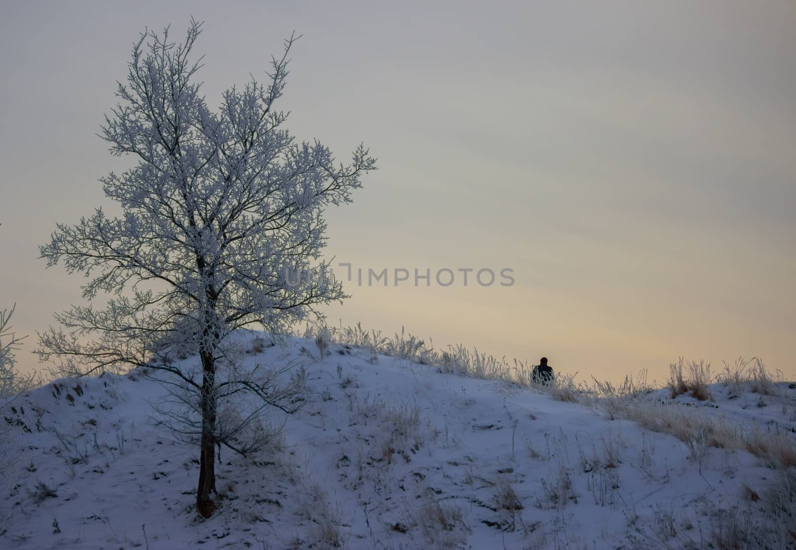 winter landscape, lonely man sitting on montain