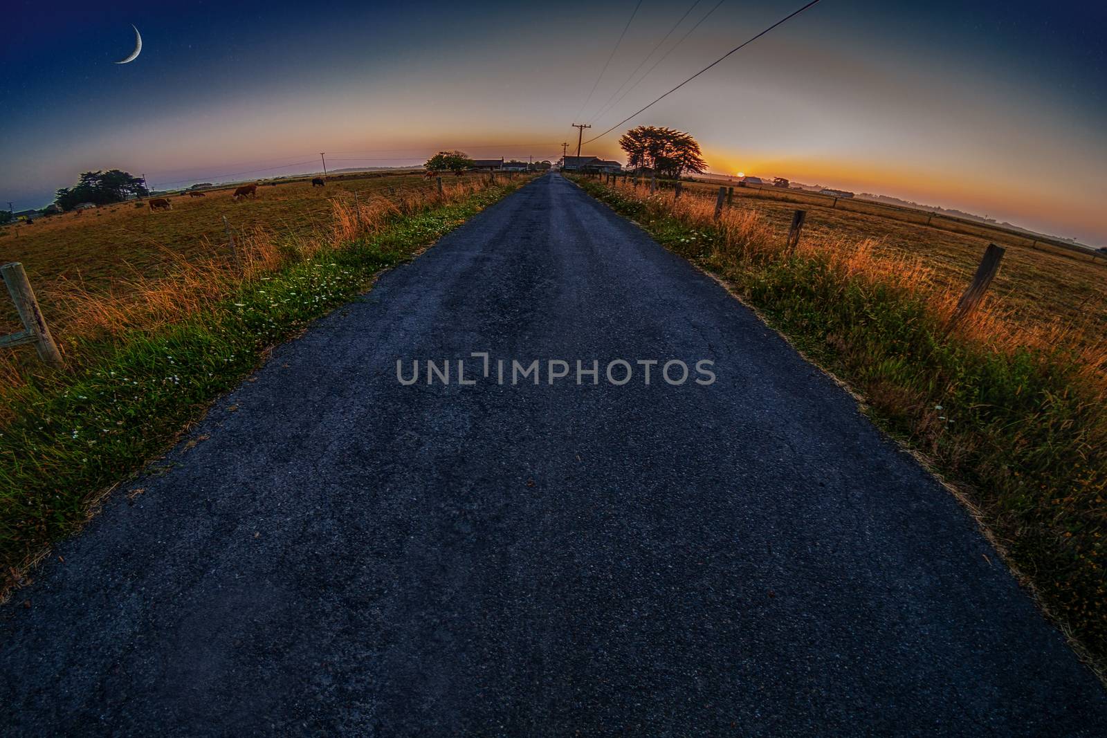 The Road to the Farm by backyard_photography