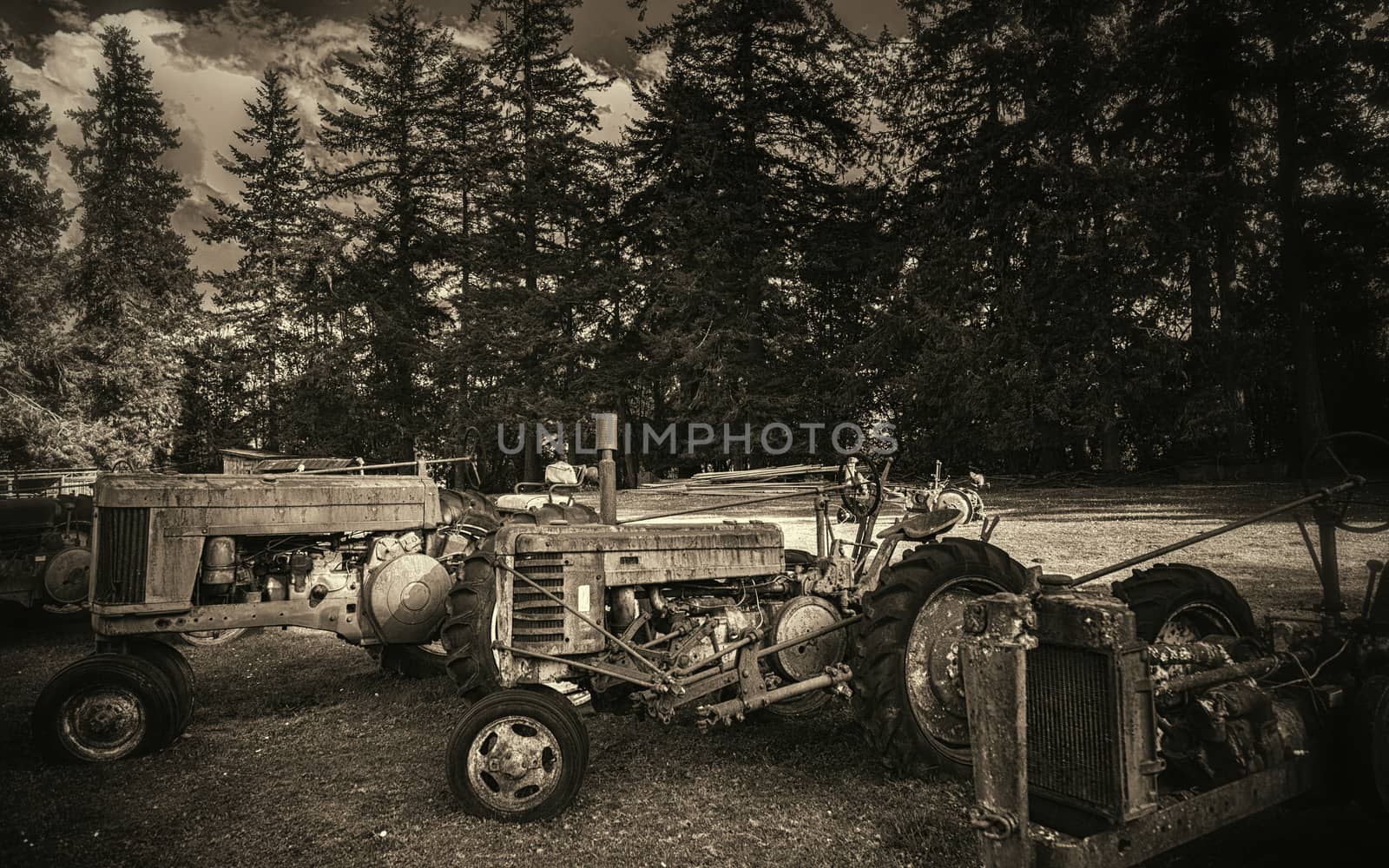Antique Tractors in a Field, Black and White Image, USA