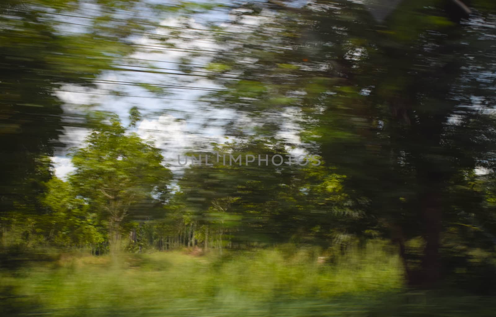 motion blur background of jungle/forest on the car.