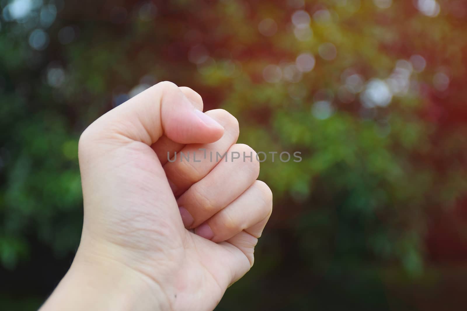 handful Human hand with nature background. Represents hope.