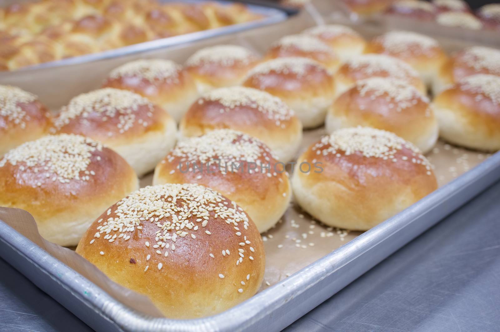 Bread baked with white sesame on aluminium oven tray by eaglesky