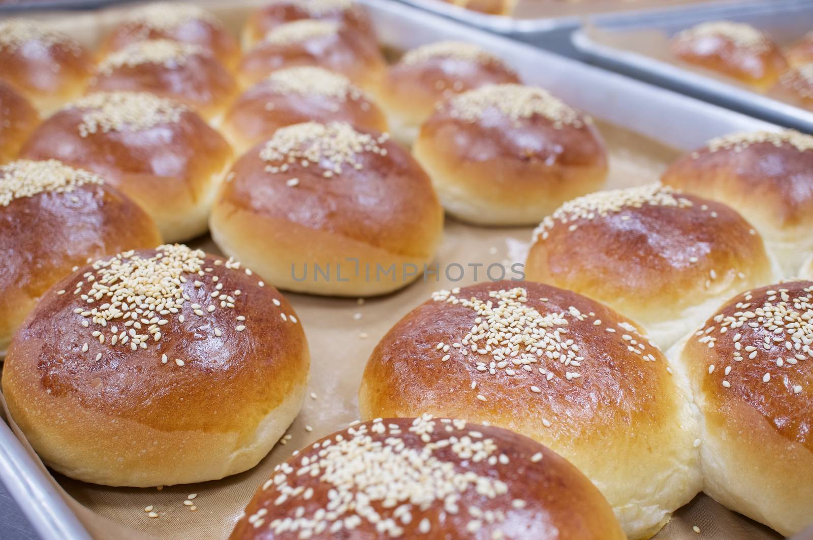 Close up bread baked with sesame on aluminium oven tray by eaglesky