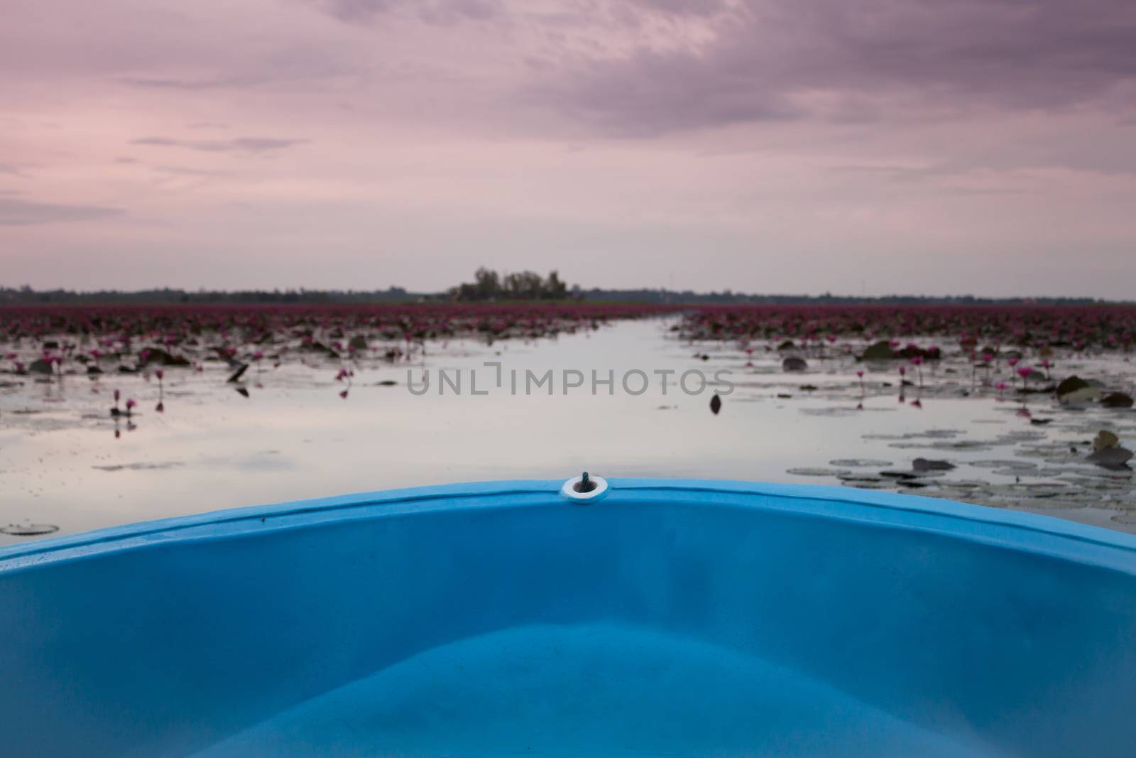 Small boat in the lake of red lotus, stock photo