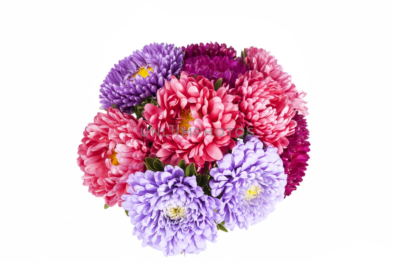 
Bouquet of aster flowers isolated on white background .
