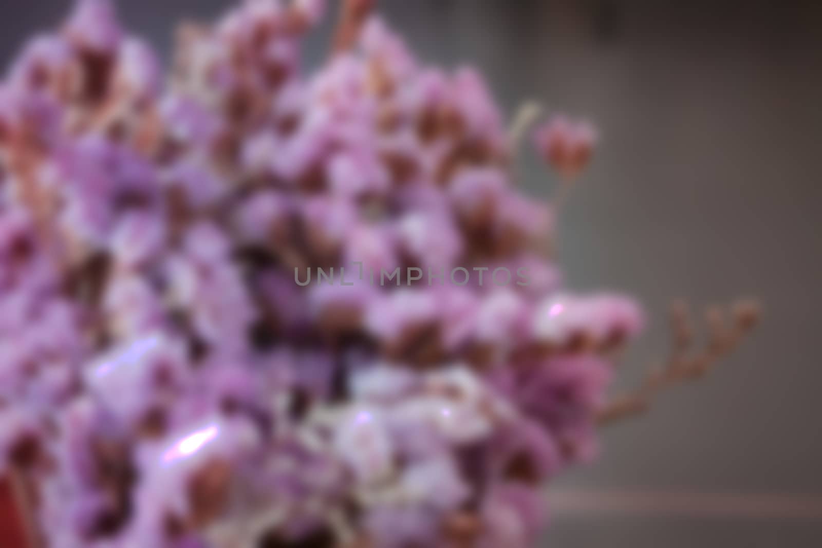 Pile violet dried flower with blurred background by punsayaporn