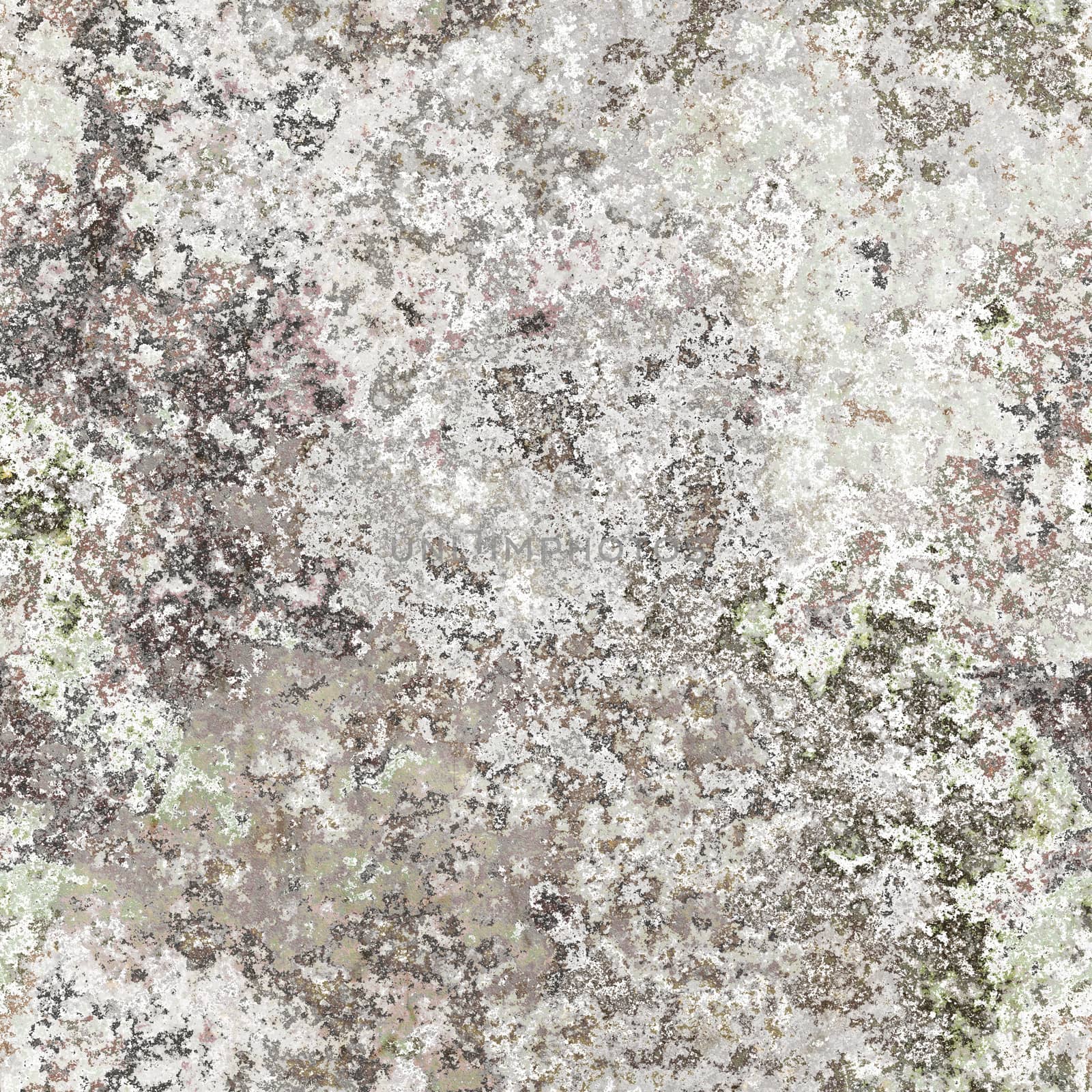 seamless lichen background by magann