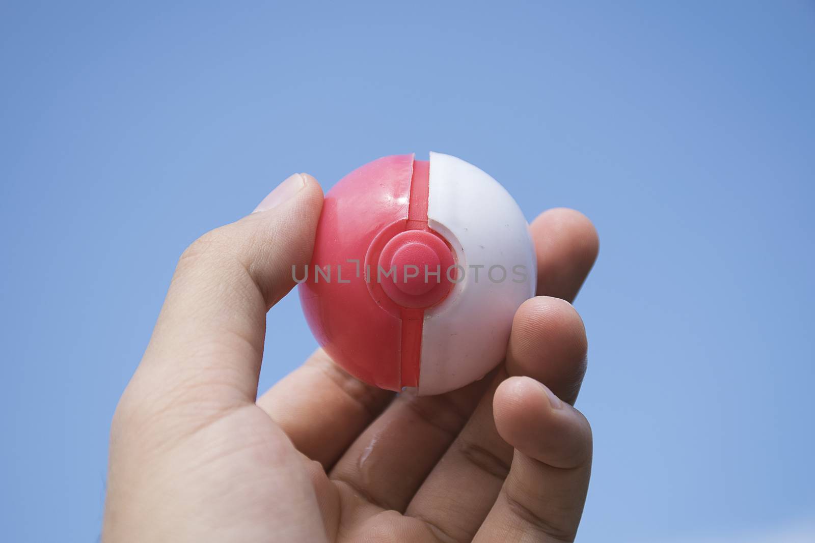 Thailand - August 20, 2016: Poke ball in Hand  (Pokemon Ball). Pokeball toy of the game Pokemon Go at Chon Buri, Thailand.