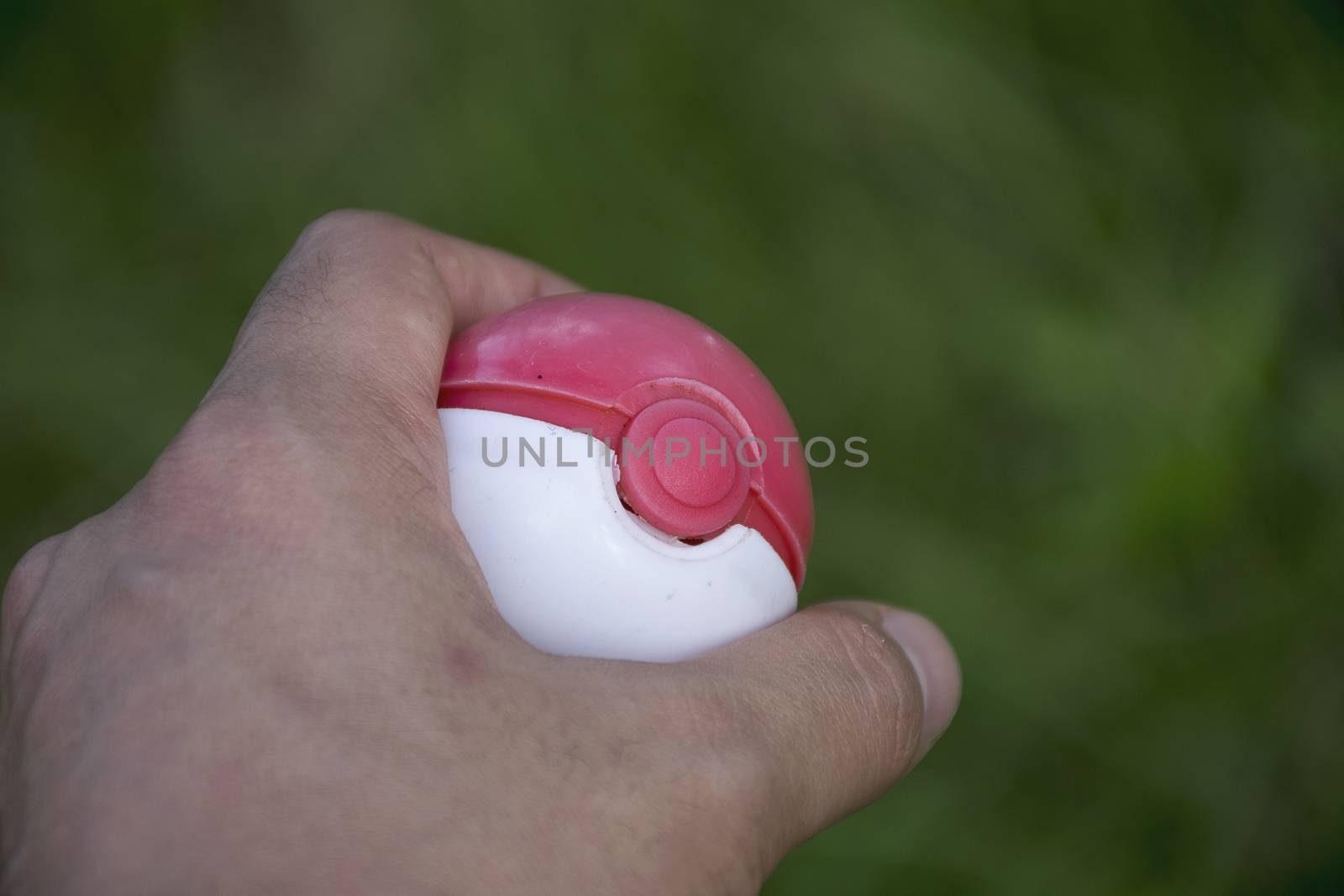 Thailand - August 20, 2016: Poke ball in Hand  (Pokemon Ball). Pokeball toy of the game Pokemon Go at Chon Buri, Thailand.