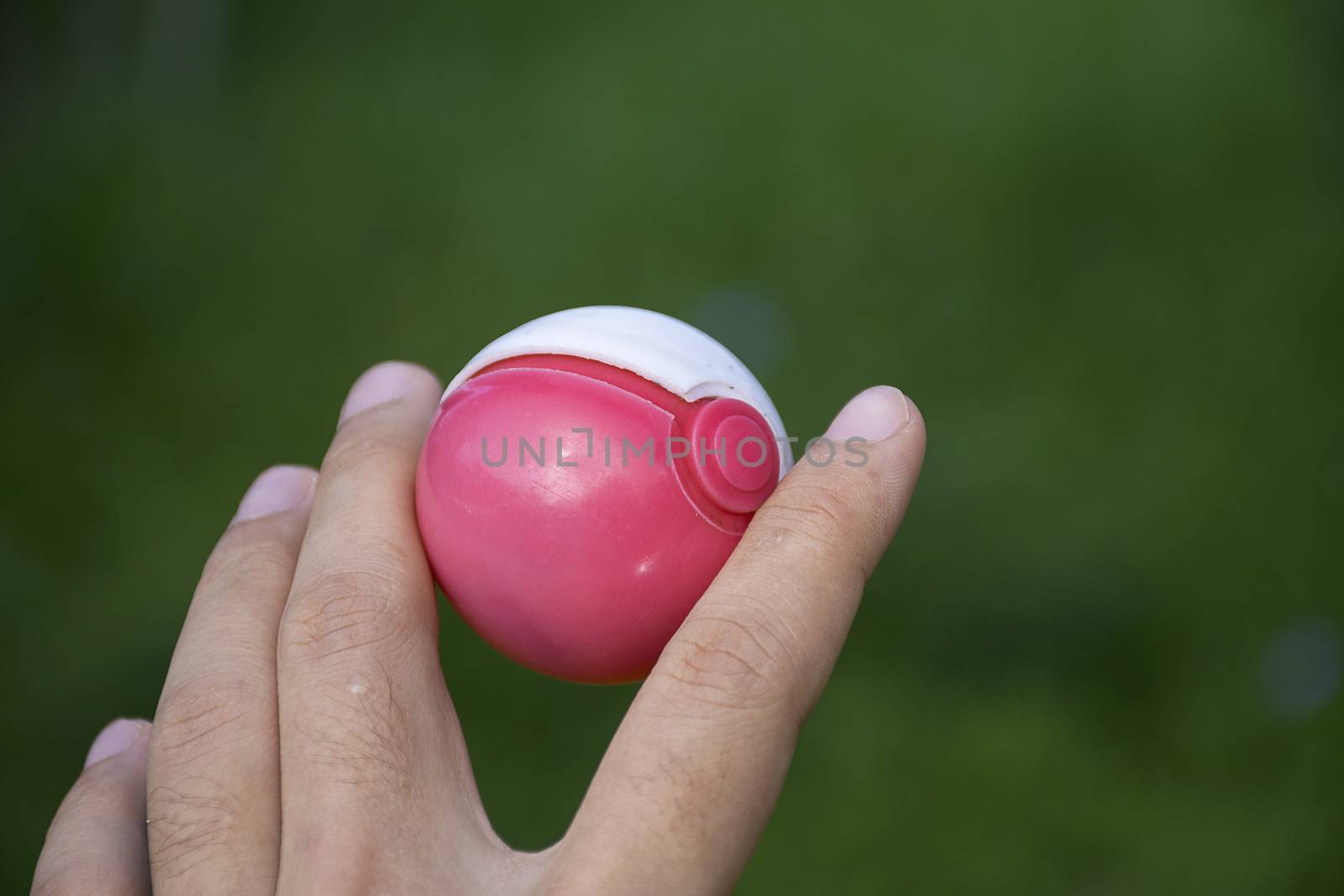 Thailand - August 20, 2016: Poke ball in Hand  (Pokemon Ball). Pokeball toy of the game Pokemon Go at Chon Buri, Thailand.