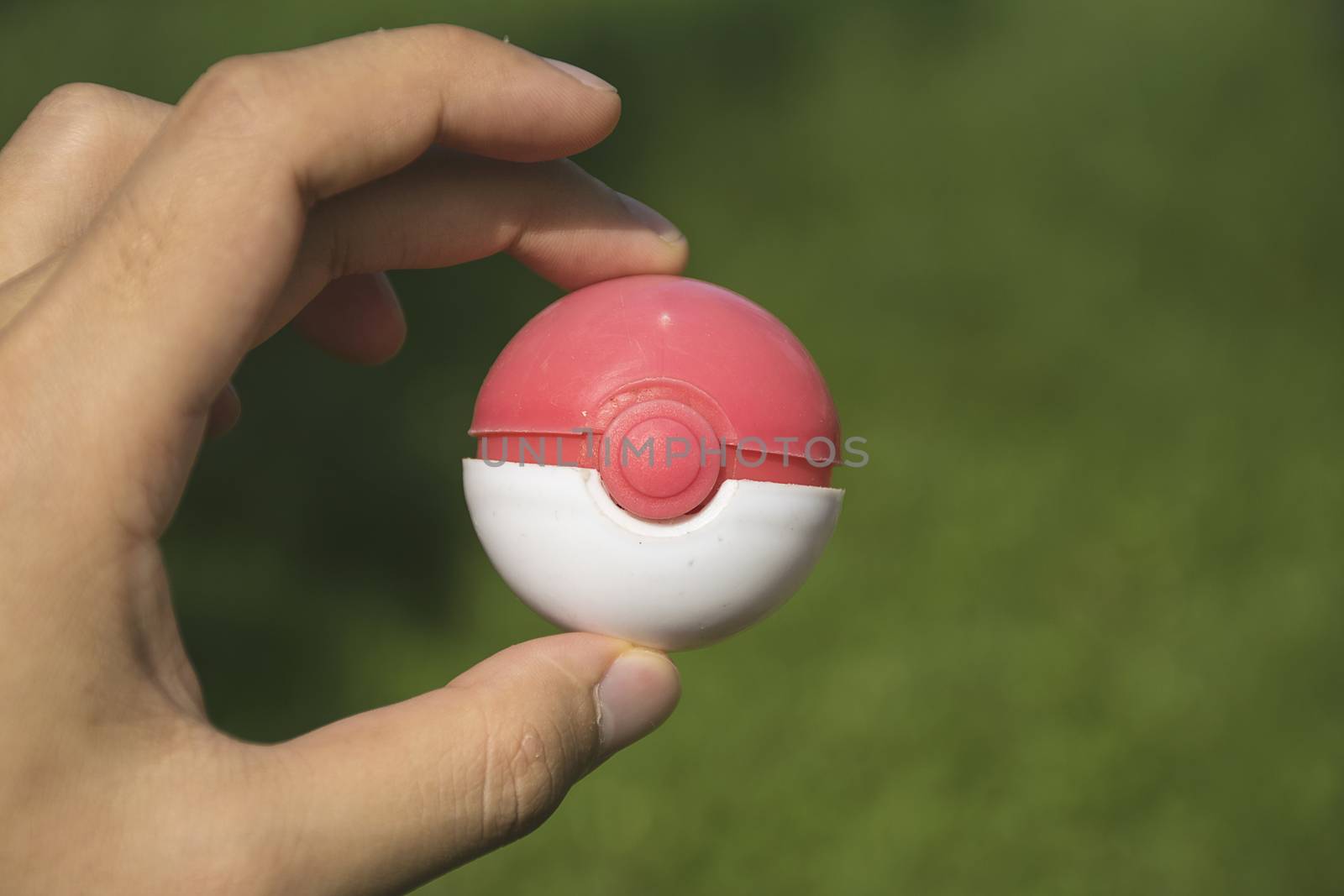 Thailand - August 20, 2016: Poke ball in Hand  (Pokemon Ball). Pokeball toy of the game Pokemon Go at Chon Buri, Thailand.