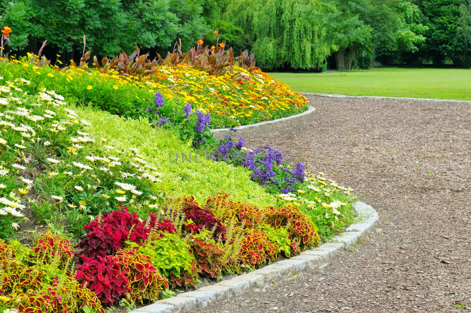 delightful flower bed in the summer park