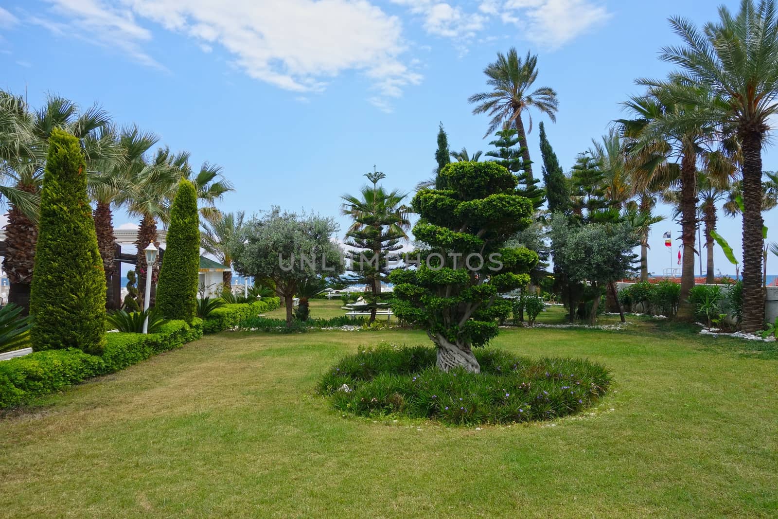 Beach resort garden near hotel in Kemer, Turkey