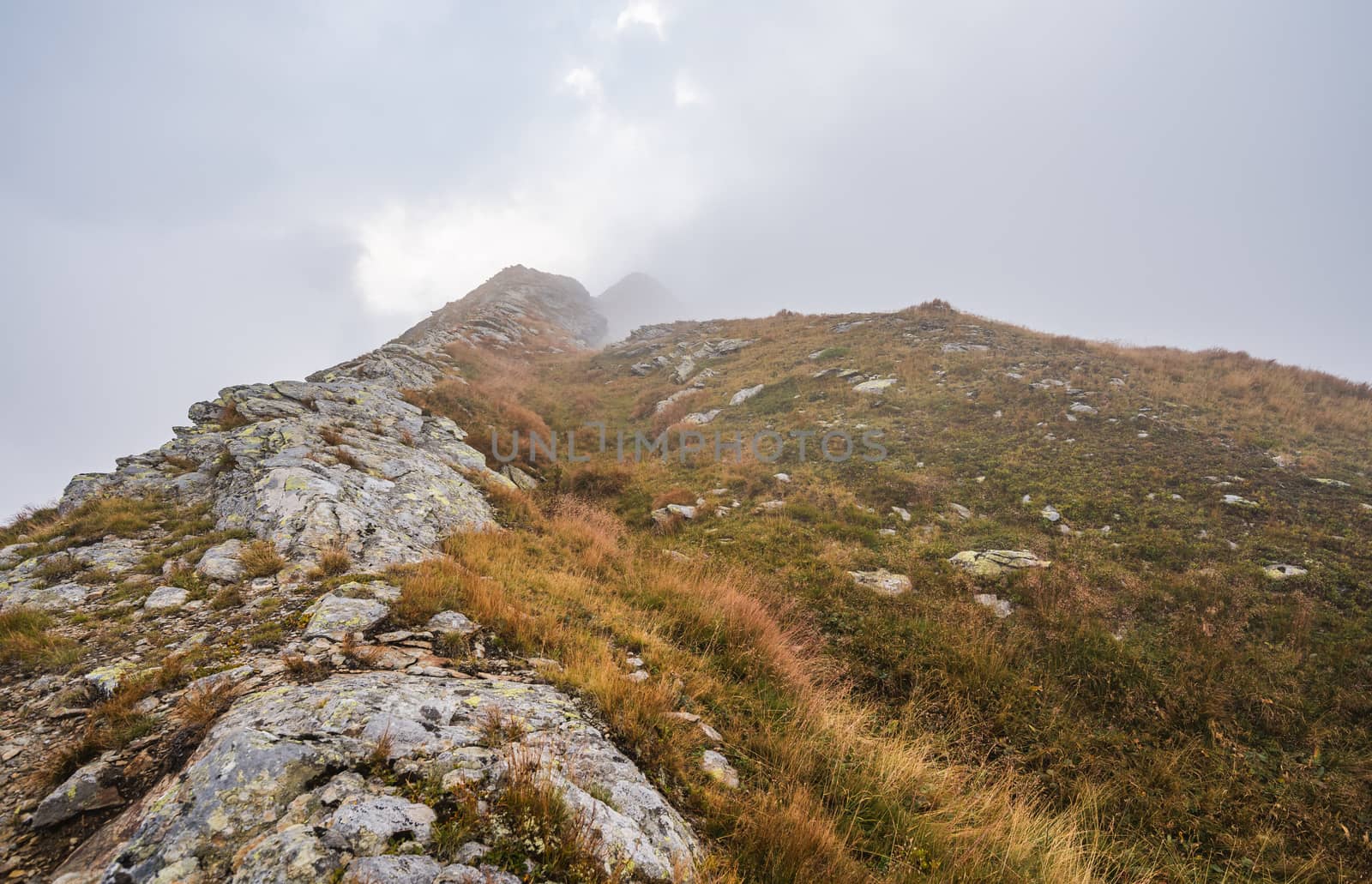 Hiking Trail on the Hill in the Mountains in the Mist