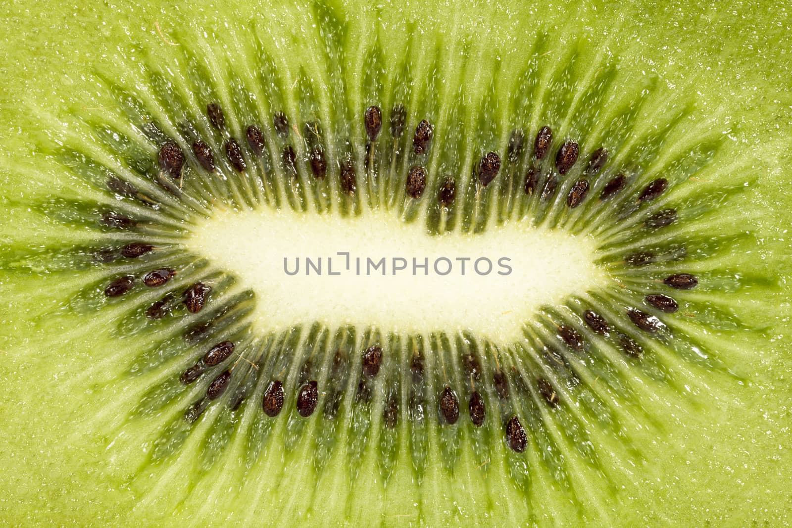 Half kiwi fruit, close up by mychadre77