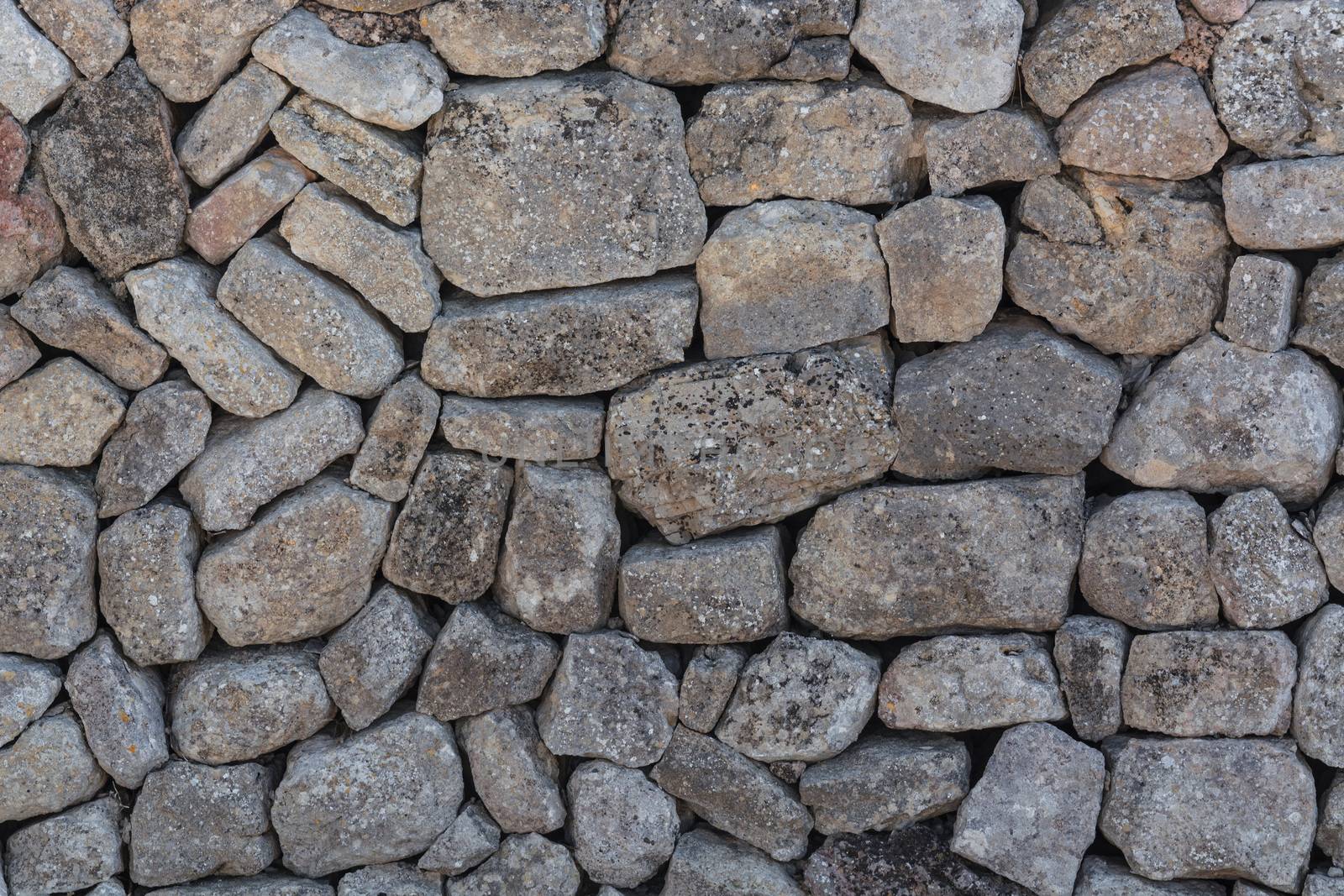 Part of a stone wall as background.