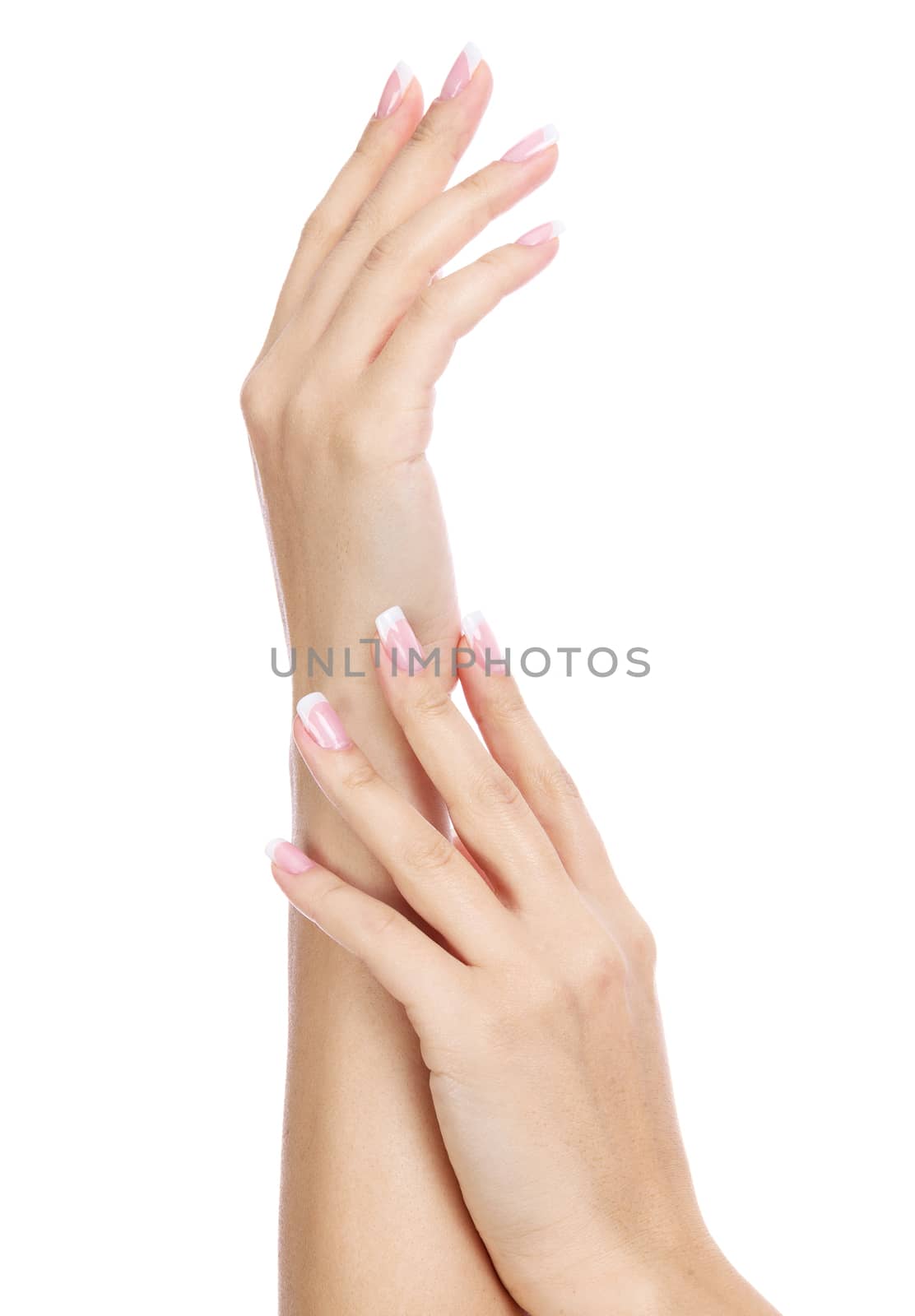 Beautiful female hands isolated on white background by Nobilior