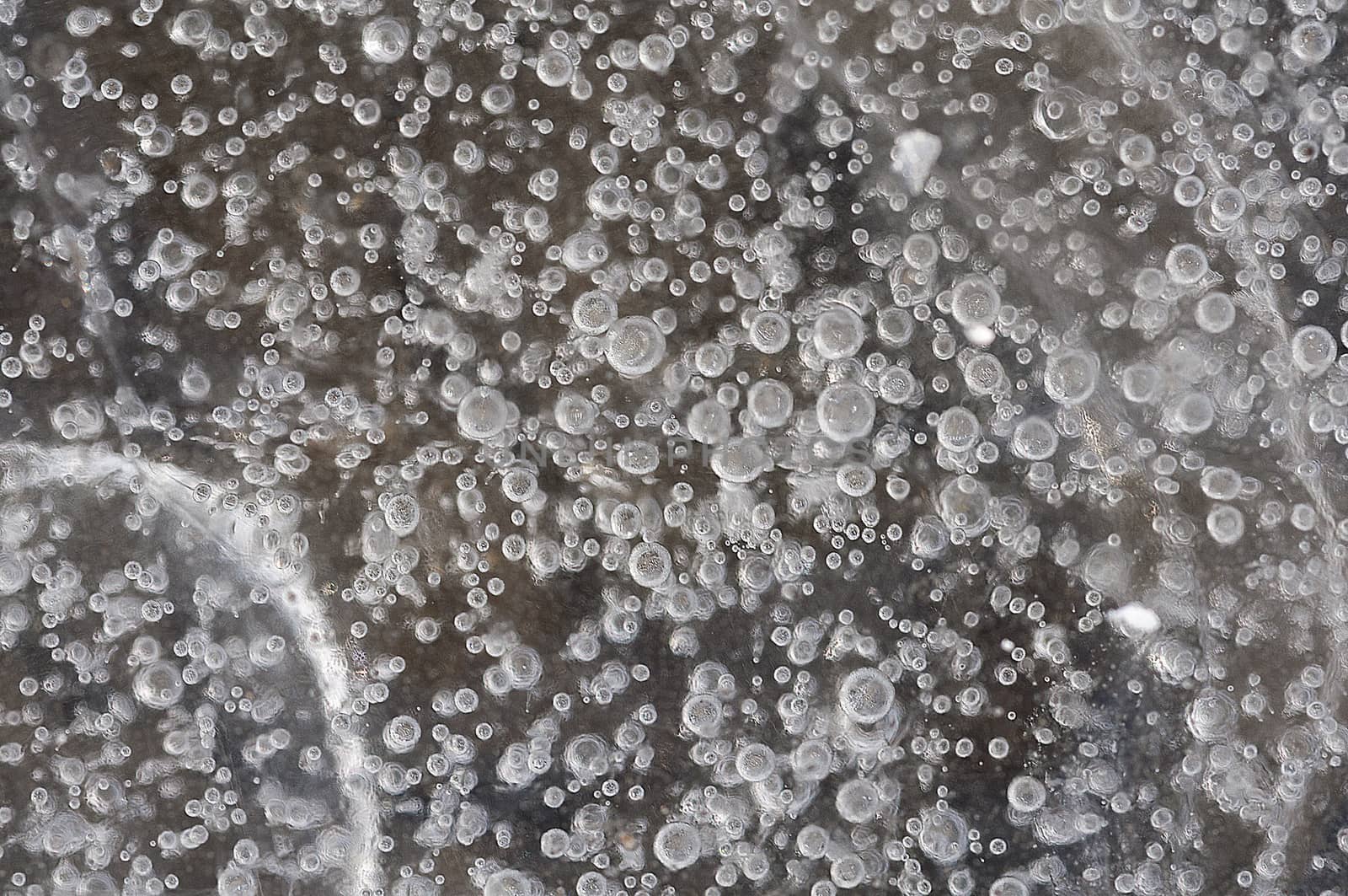 Air bubbles captured in ice. Ice Texture