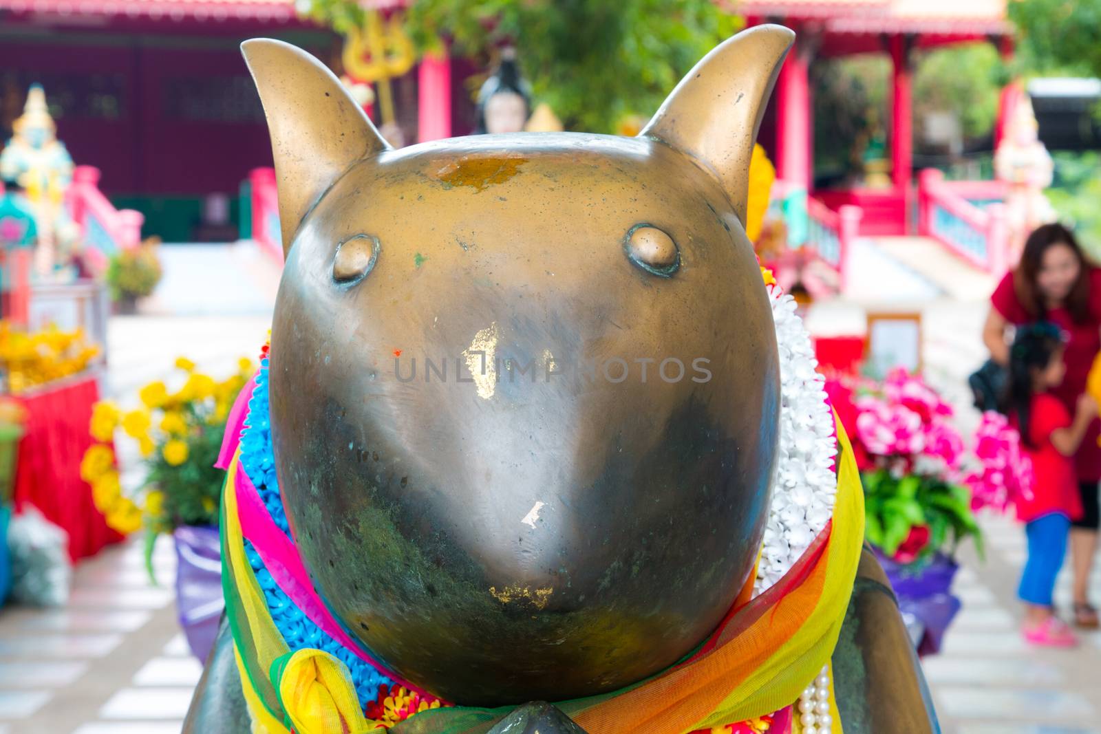 Rat is vehicle of Ganesha and tells blessing of people to Ganesha.