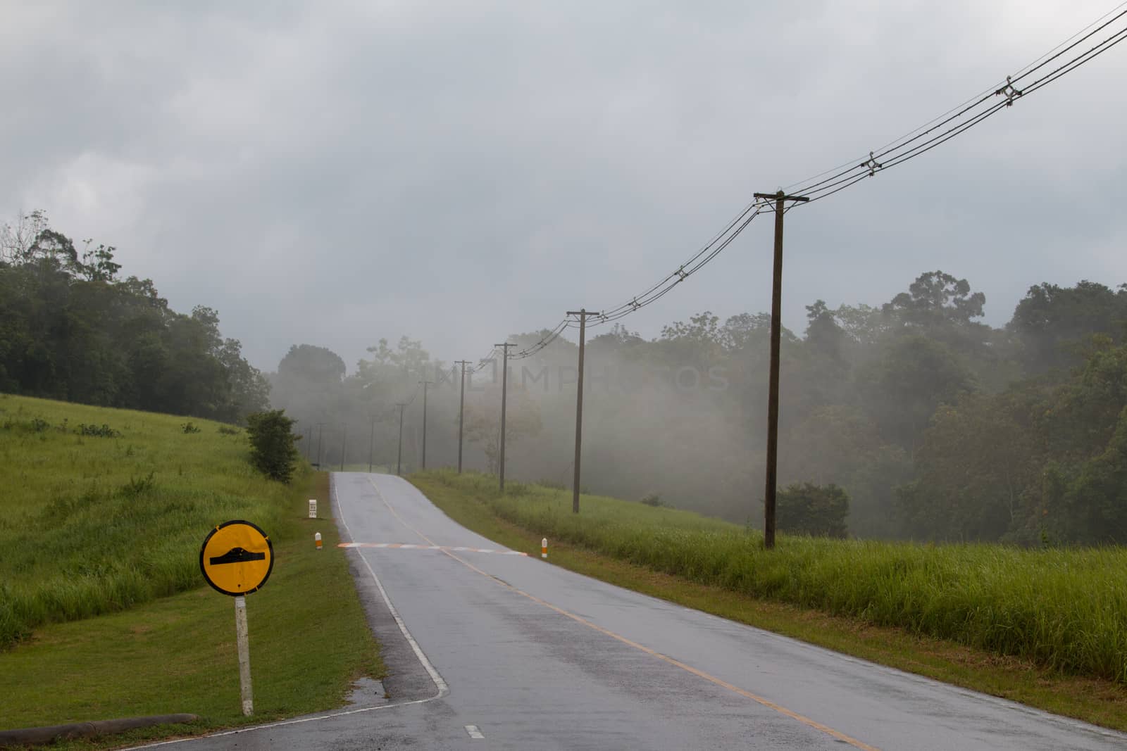 wet road after the rain