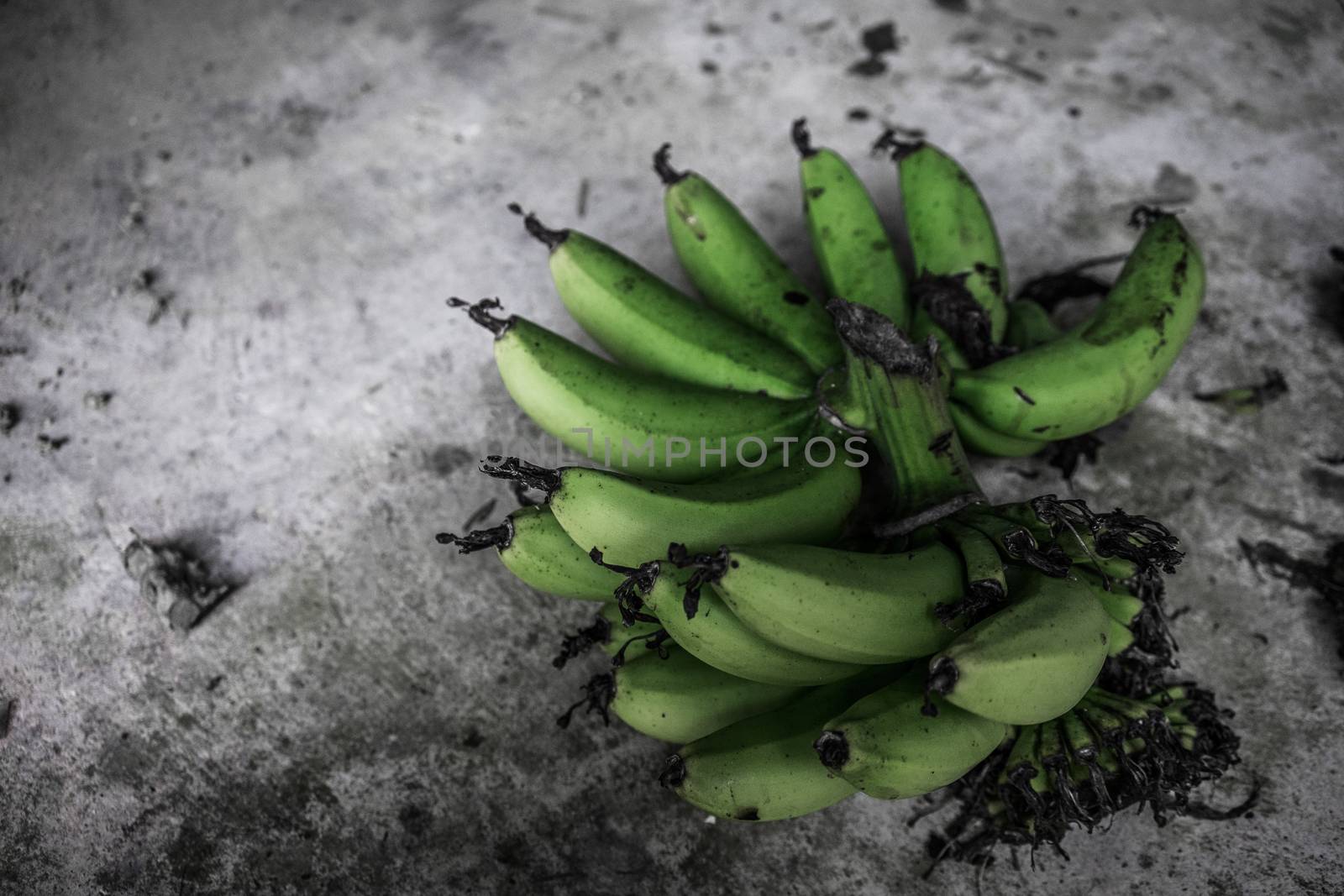 A selective color shot of green bananas.