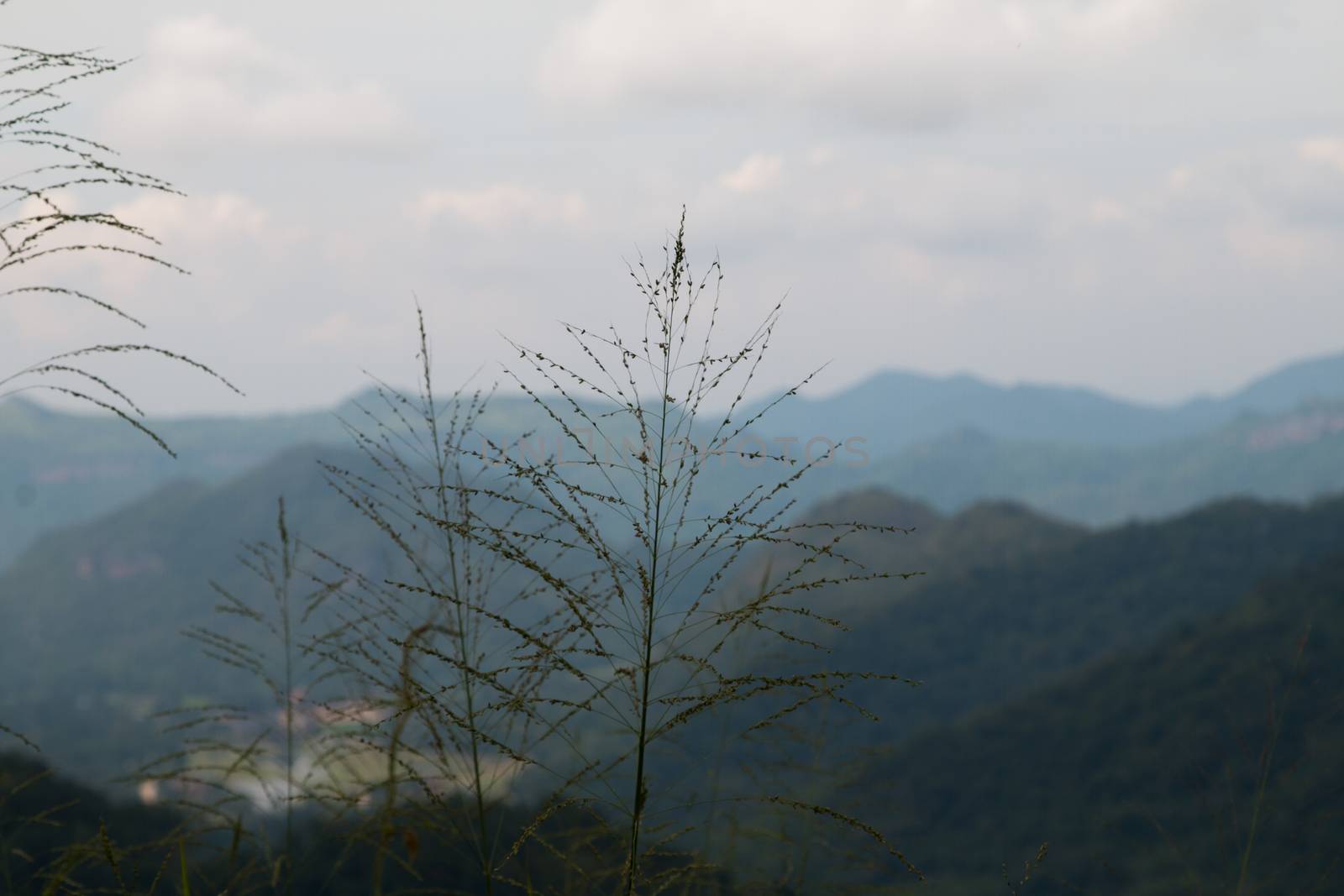 mountain range by N_u_T