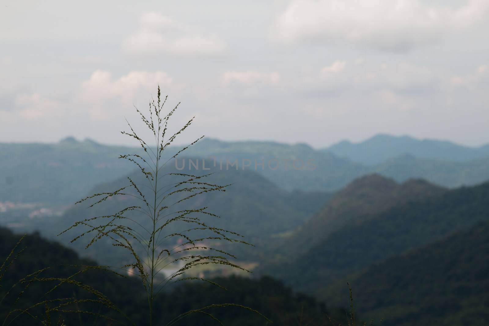 mountain range by N_u_T