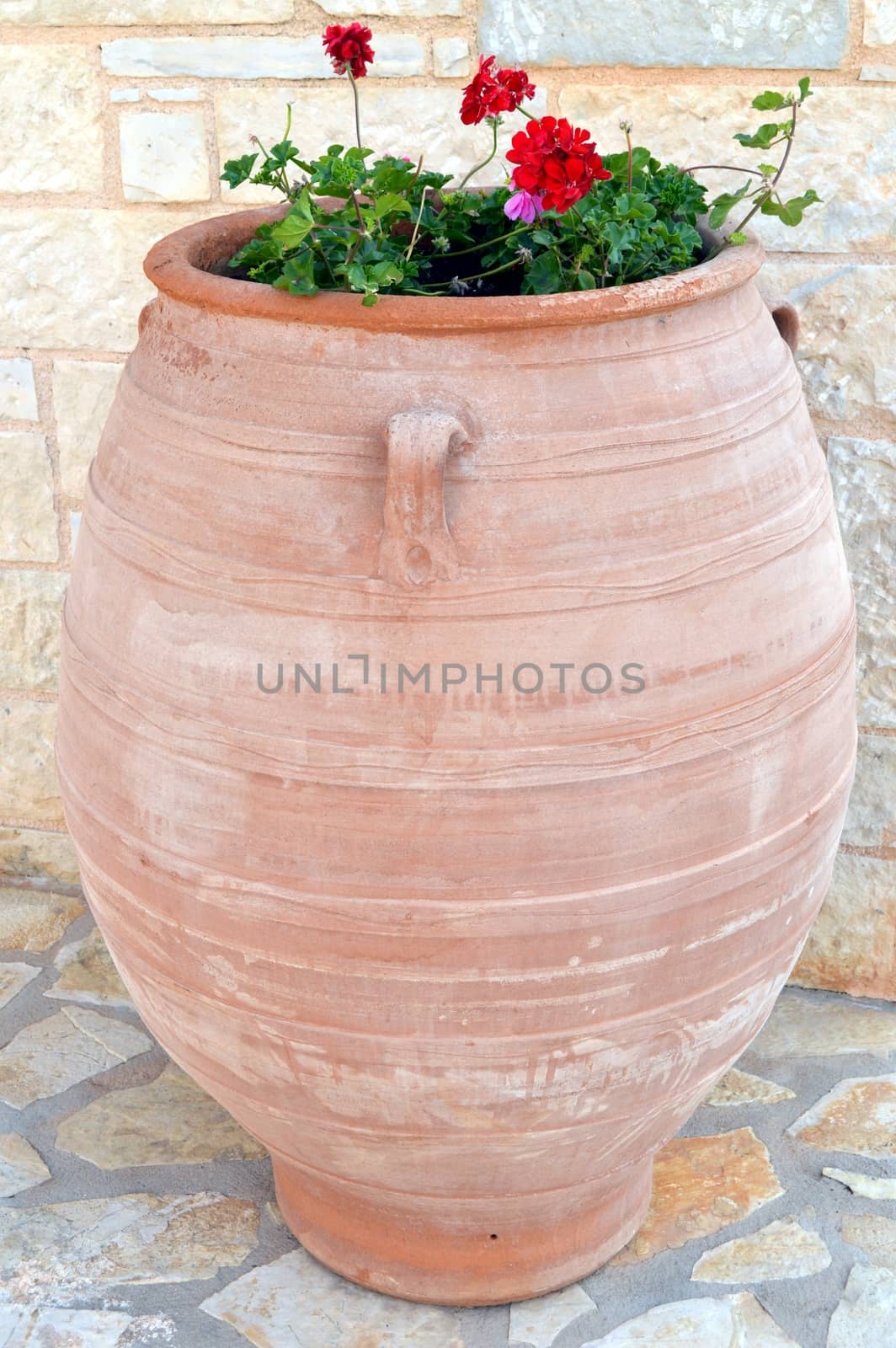A big amphora transformed into flowerpot.