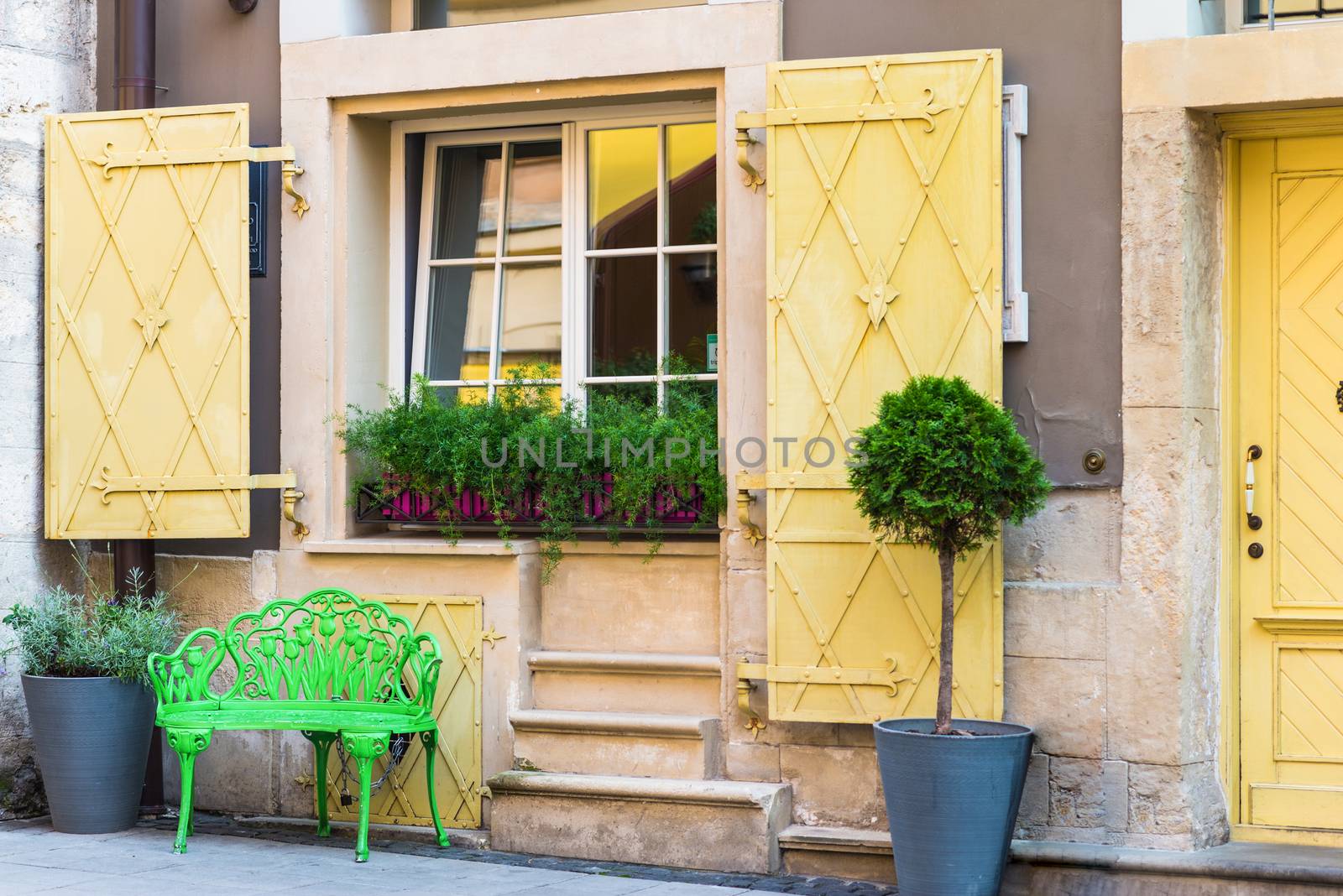 Window in old house decorated with flowerpots with green flowers and green paw