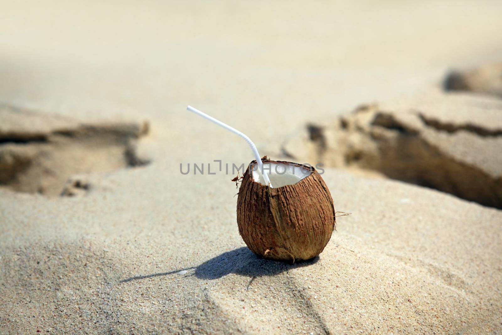 Frash coconut on beach background
