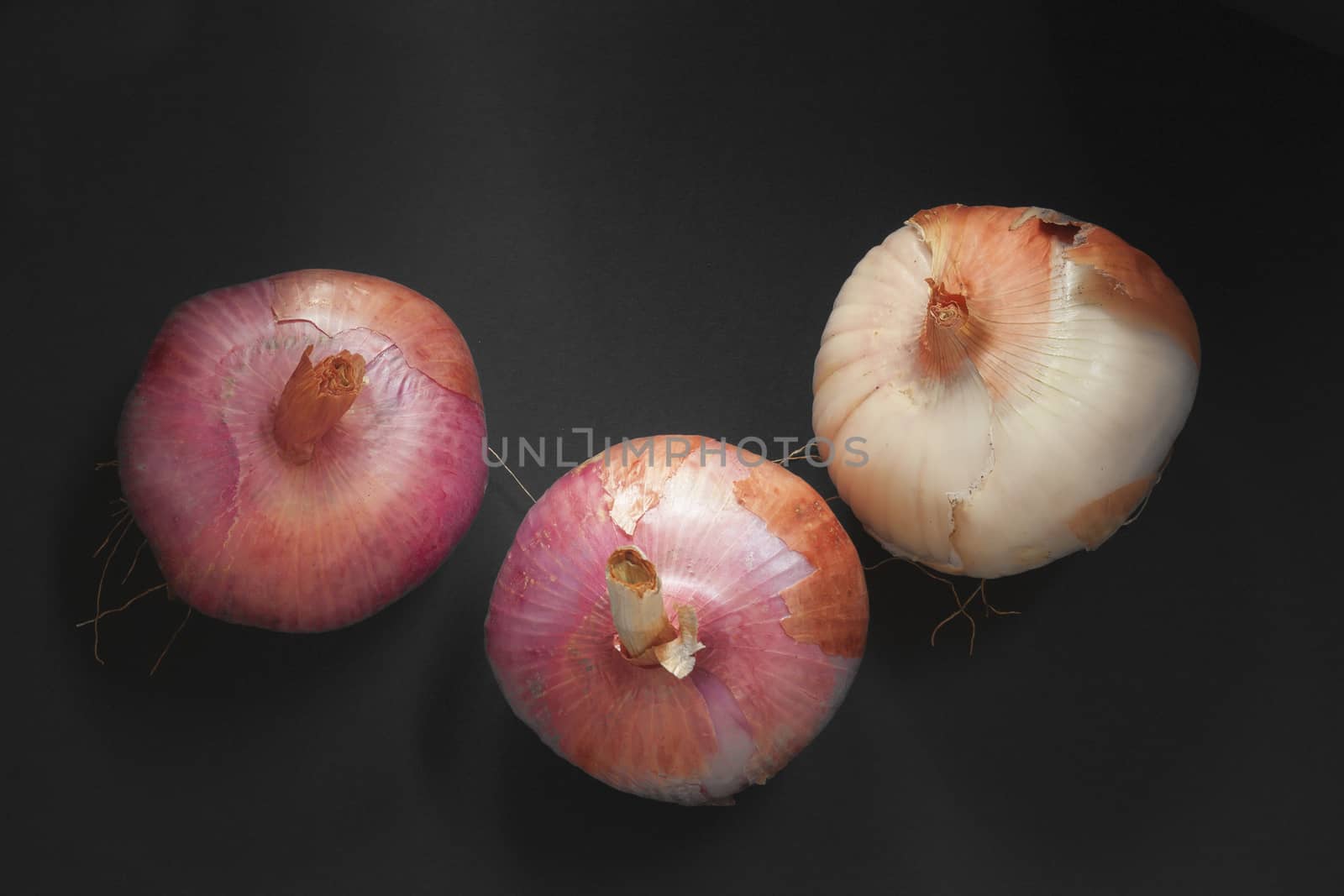 The onion has a substantial nutritional value, thanks to the presence of mineral salts and vitamins, especially vitamin C, but also contains many enzymes that aid digestion and stimulate the metabolism