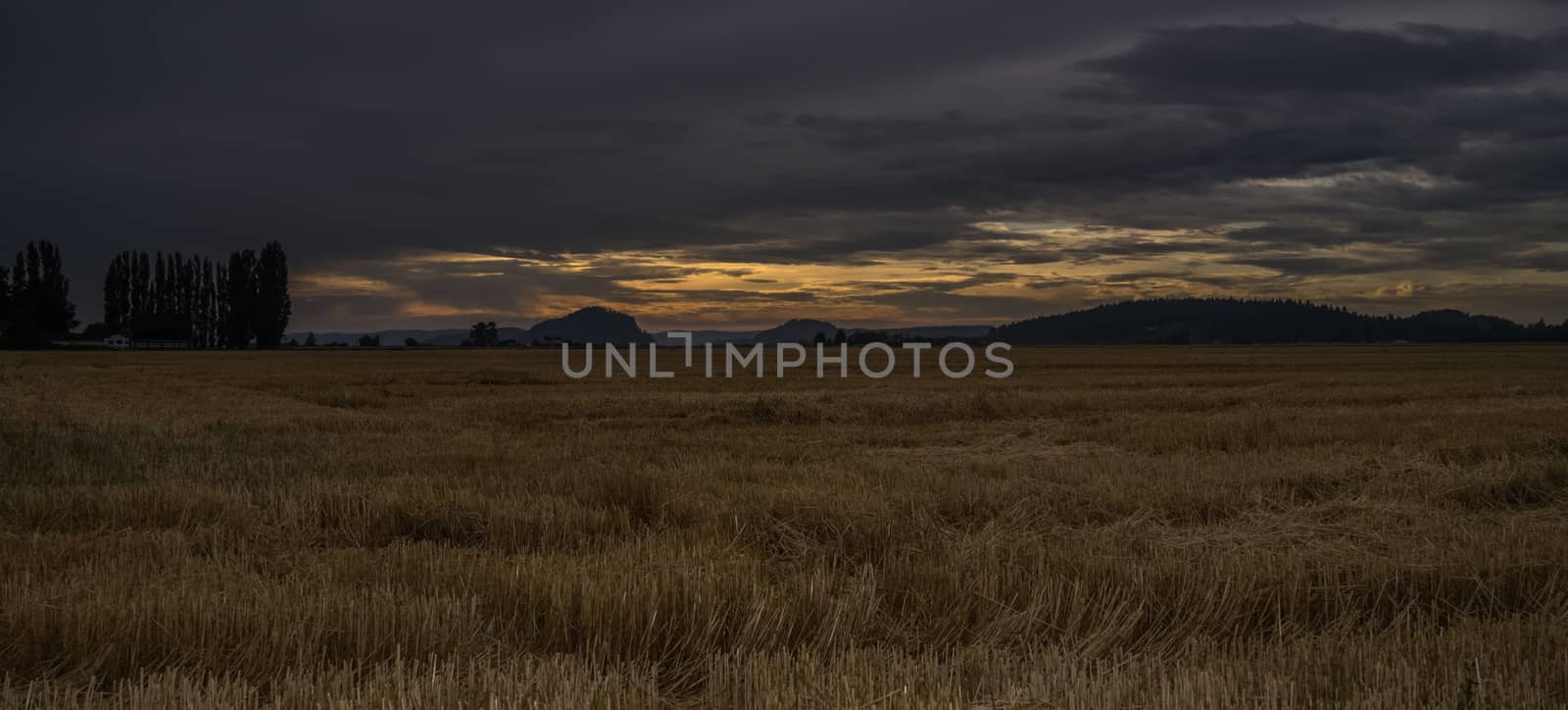 Darkness falls on a Skagit Valley field as the sun sets in the distance