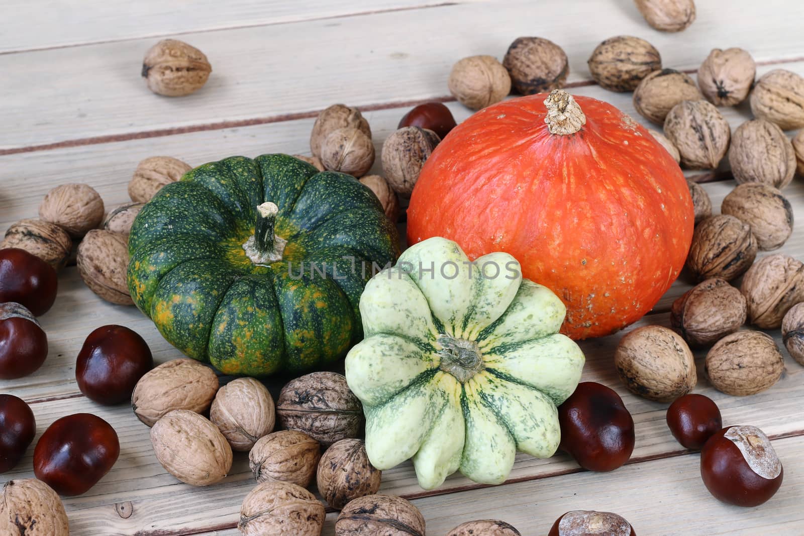 Still life with products of autumn - pumpkins, gourds, nuts, chestnuts