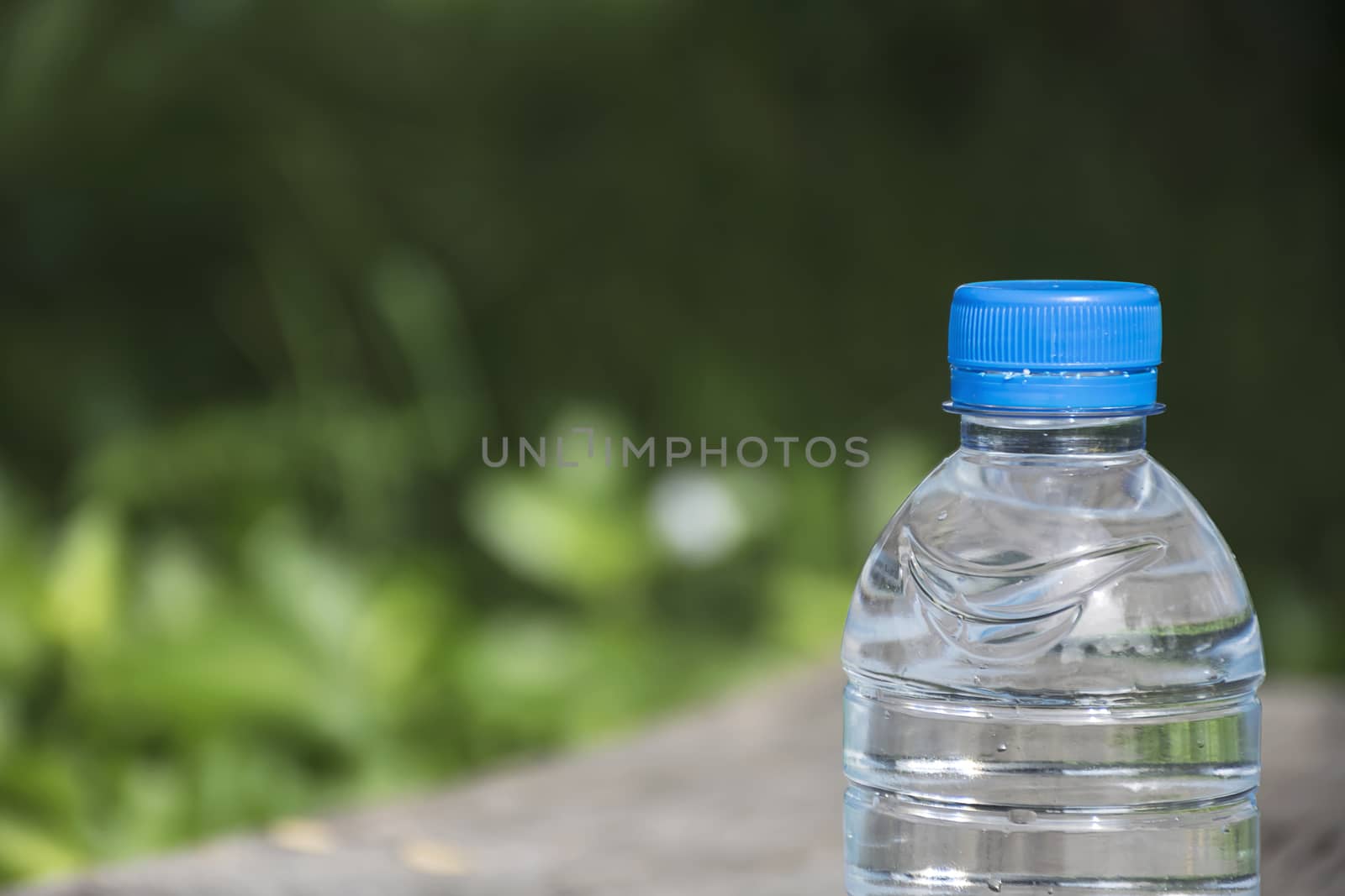 Water bottle on wood table with nature background. Fresh and energy concept.