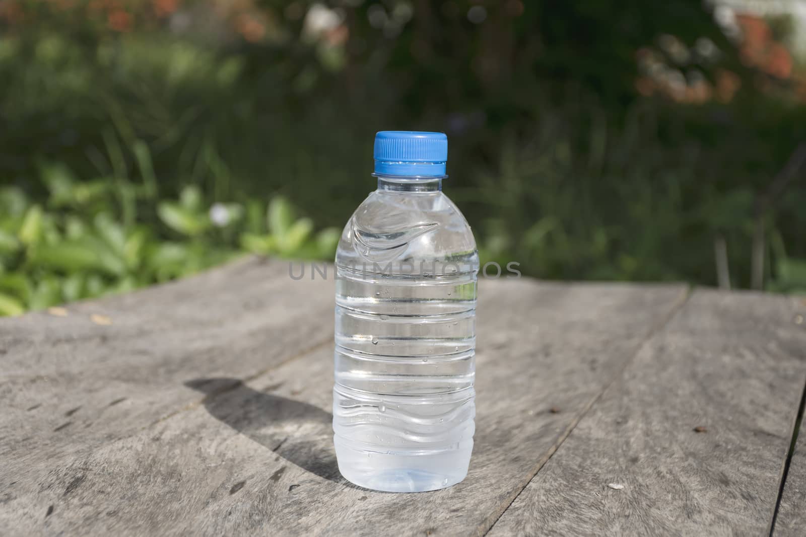 Water bottle on wood table with nature background. Fresh and energy concept.