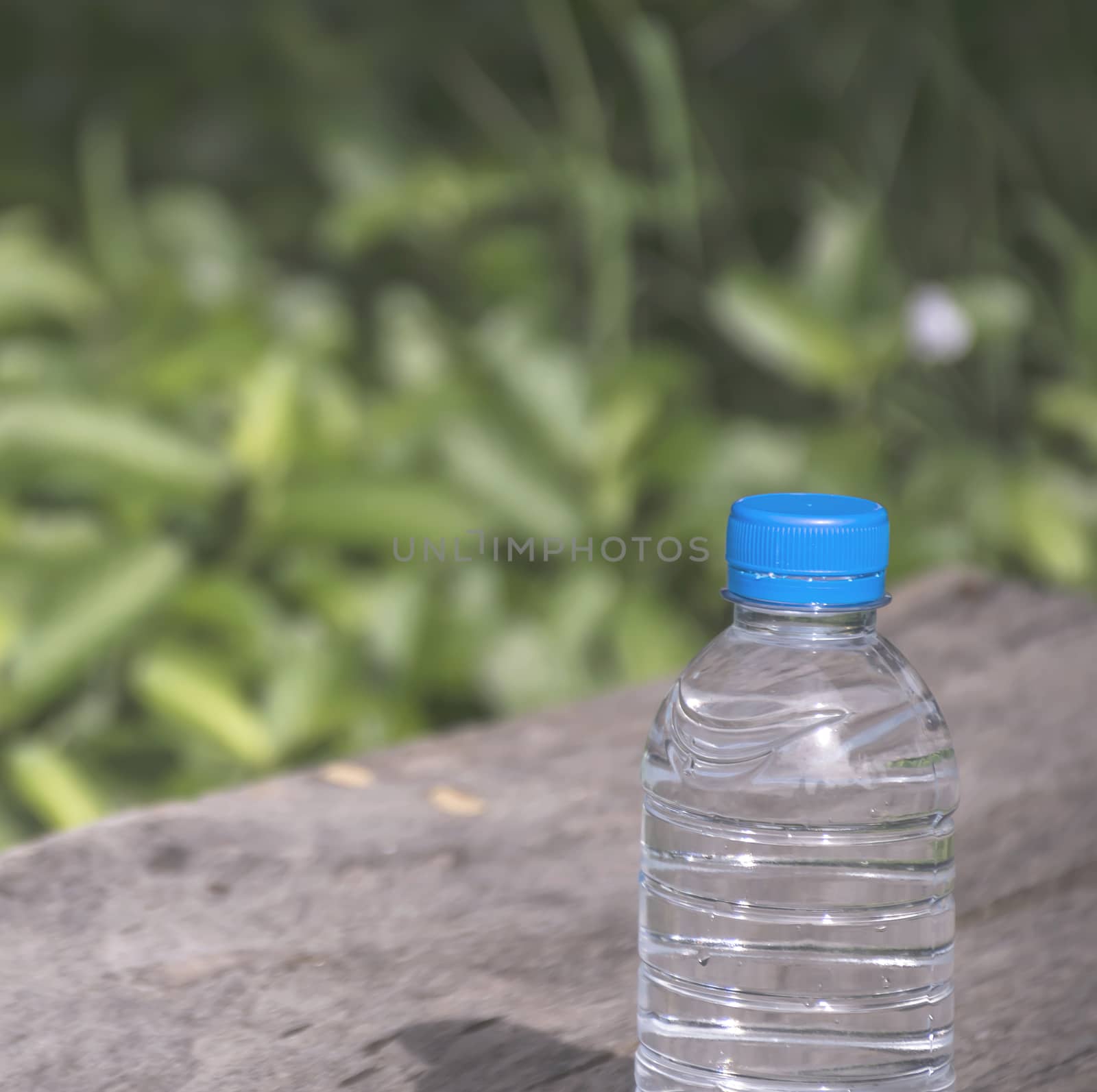 Water bottle on wood table with nature background. Fresh and energy concept.