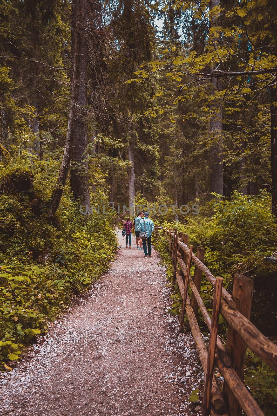 people are walking in a forest  by MegaArt